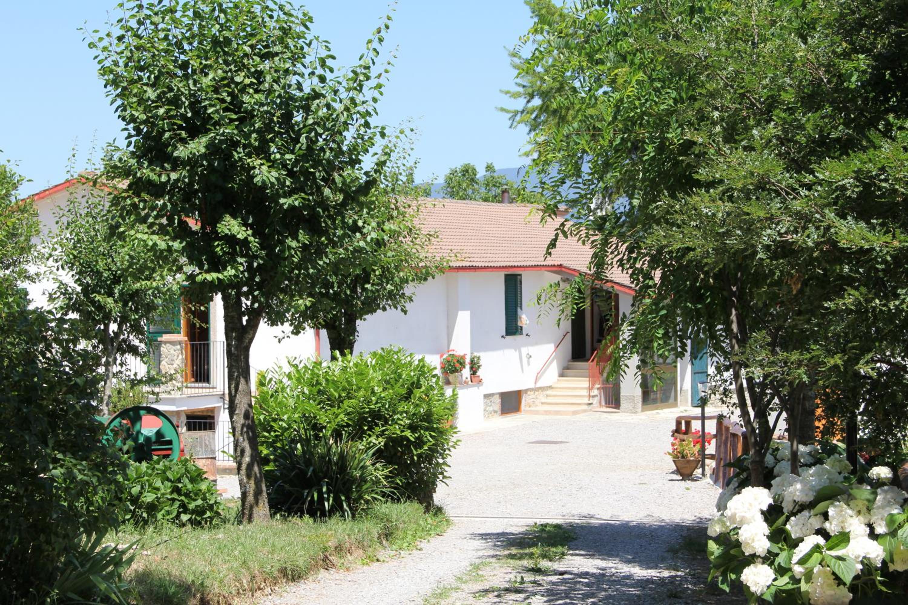 Photo 19