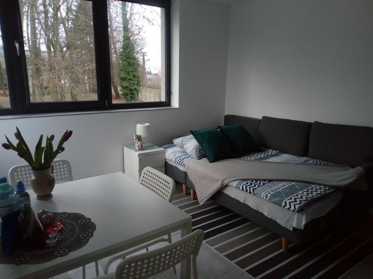 Villa Centrum, photo 64