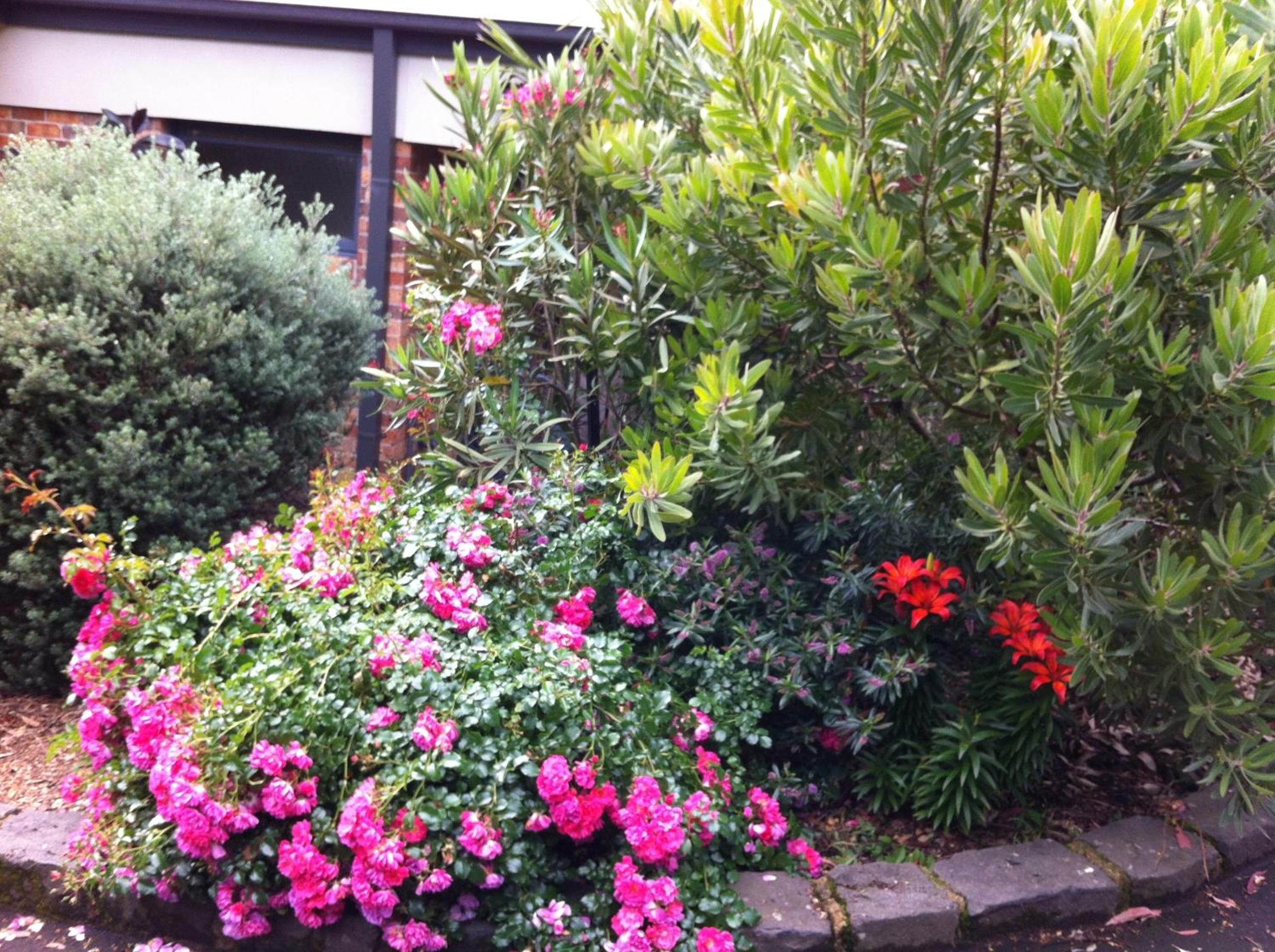 Photo 23