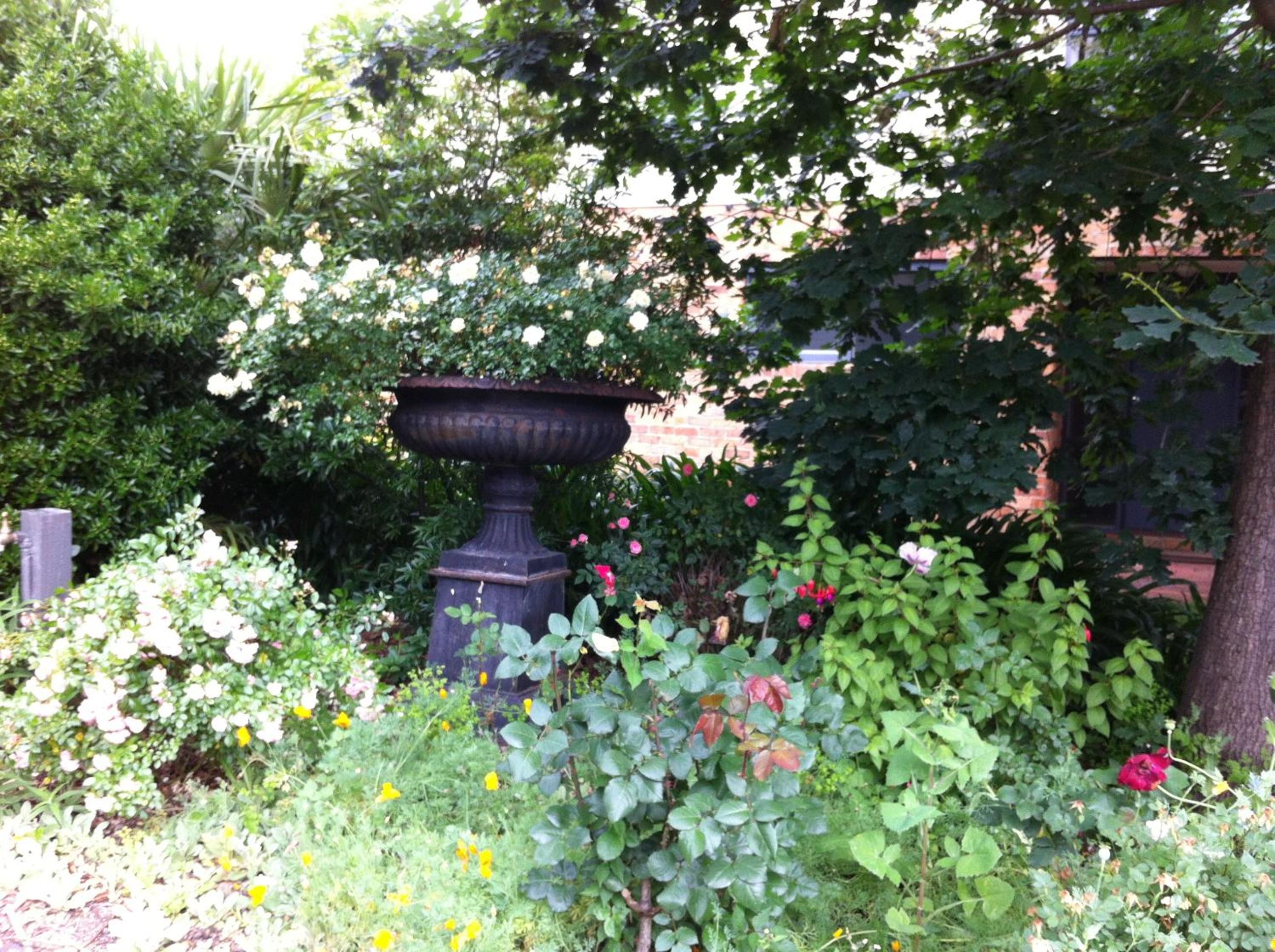 Photo 27