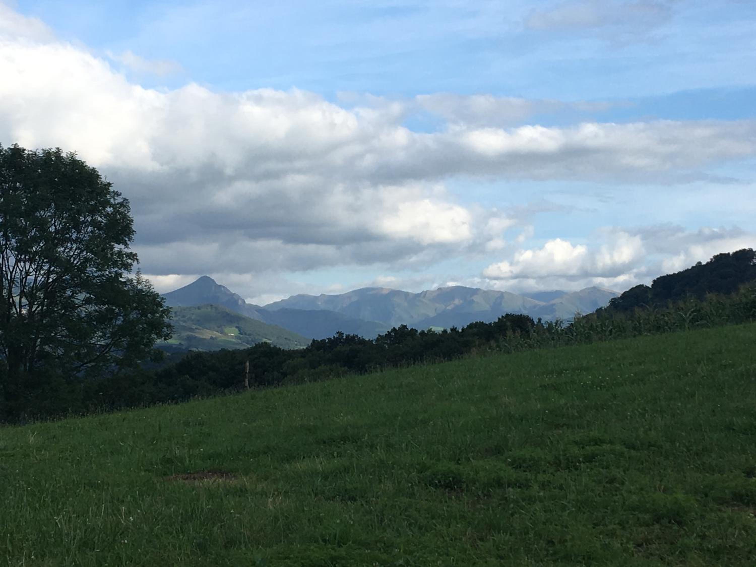 Photo 25