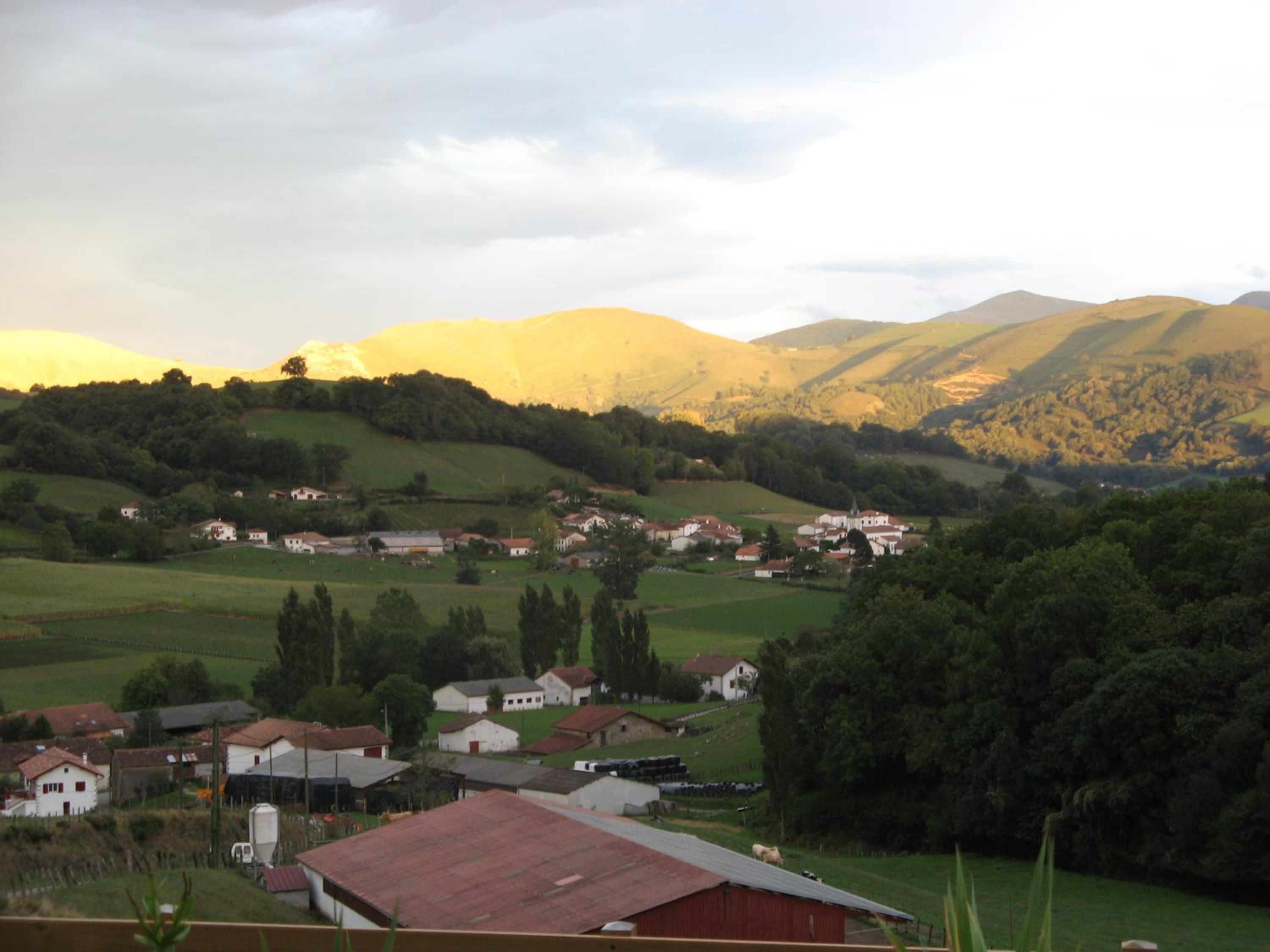 Photo 27