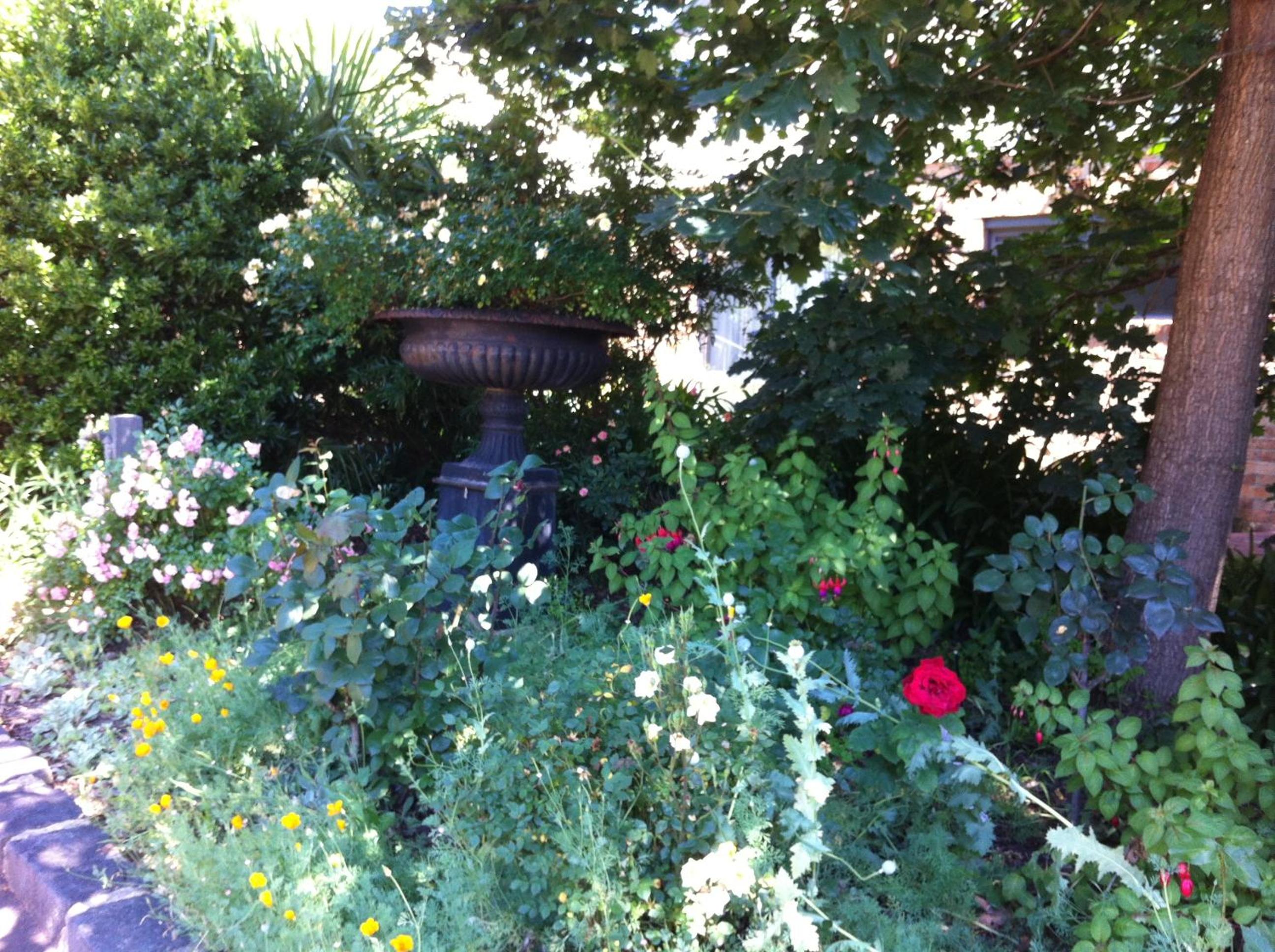 Photo 78