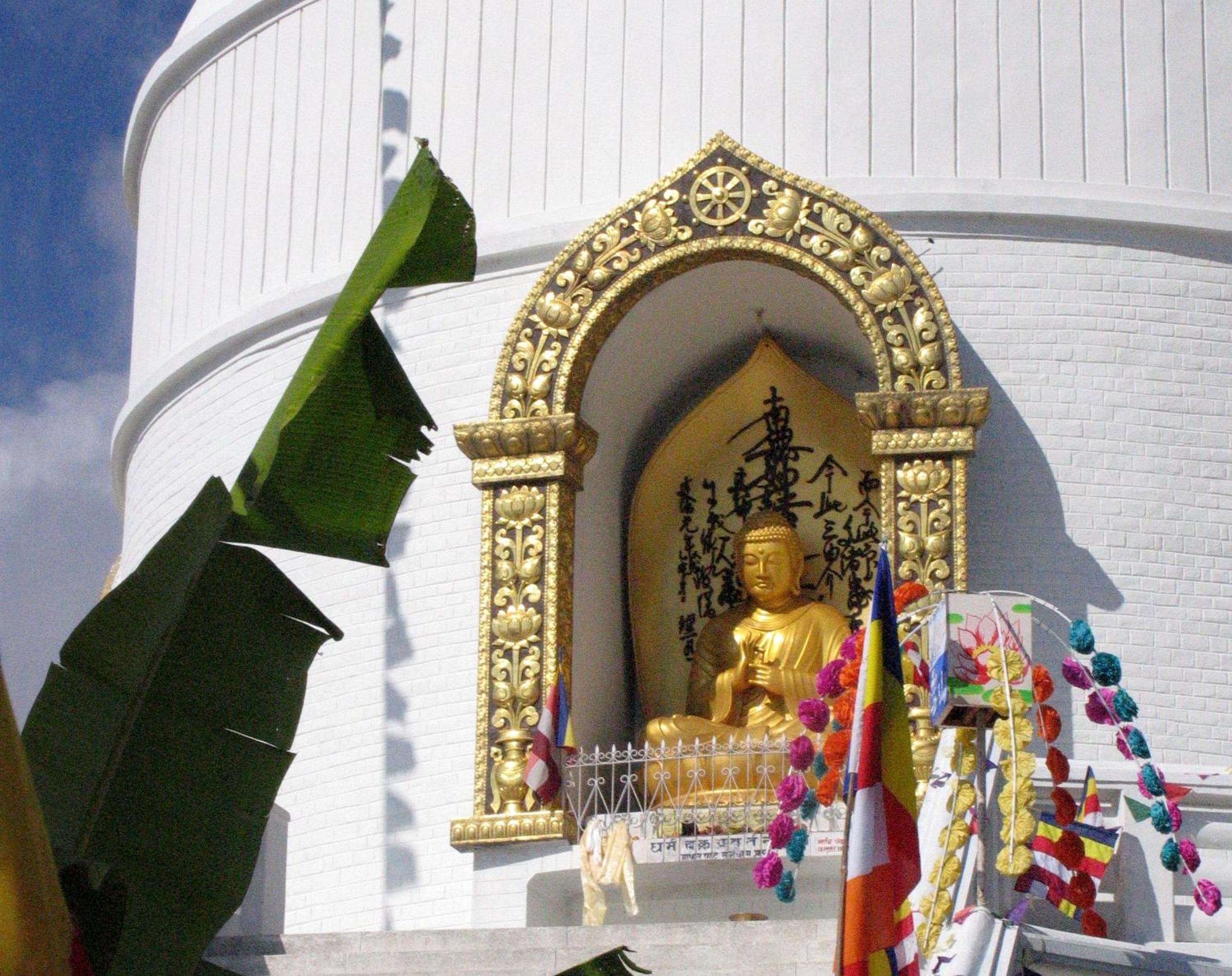 Peace Dragon Lodge