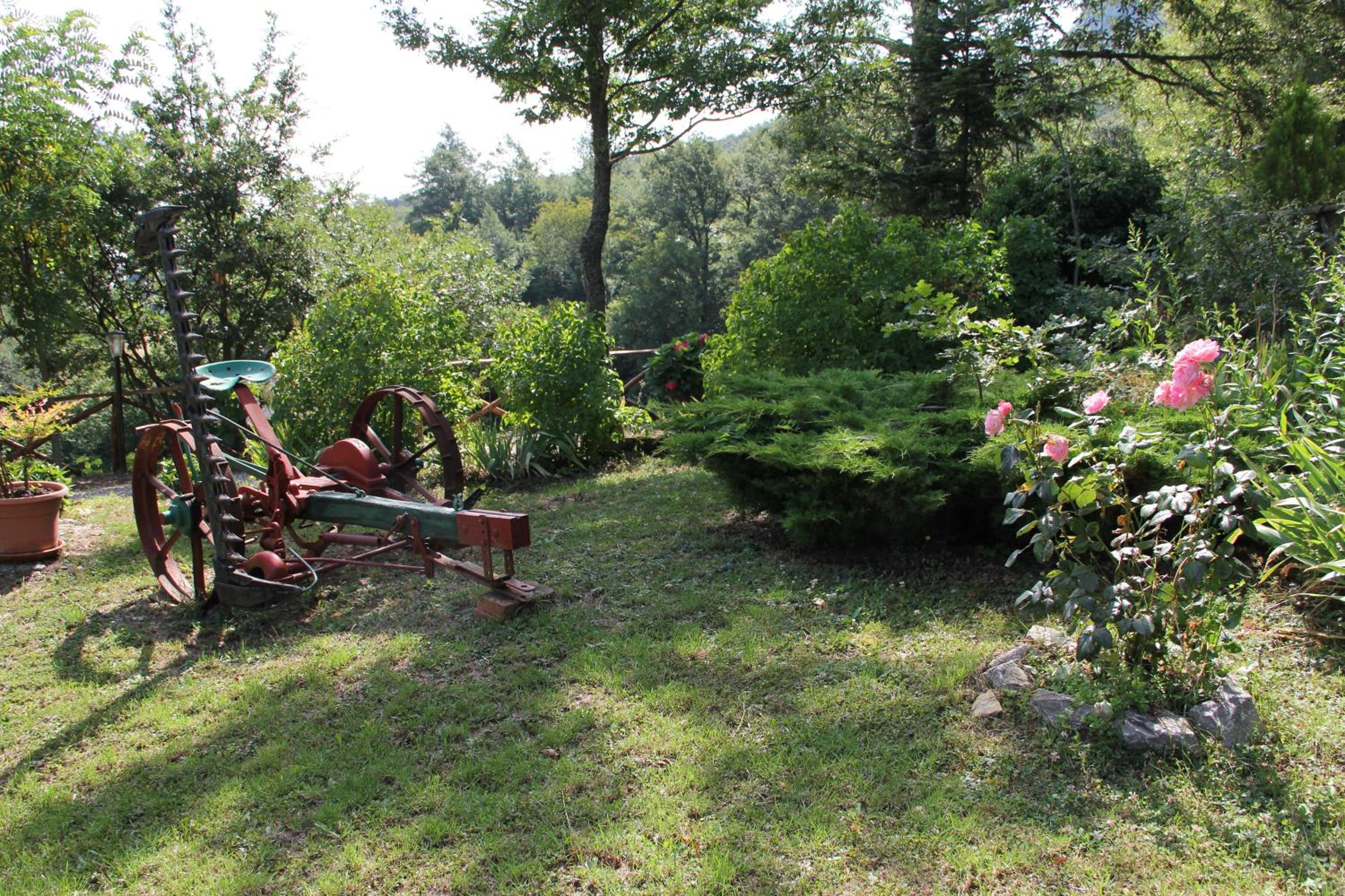Photo 21