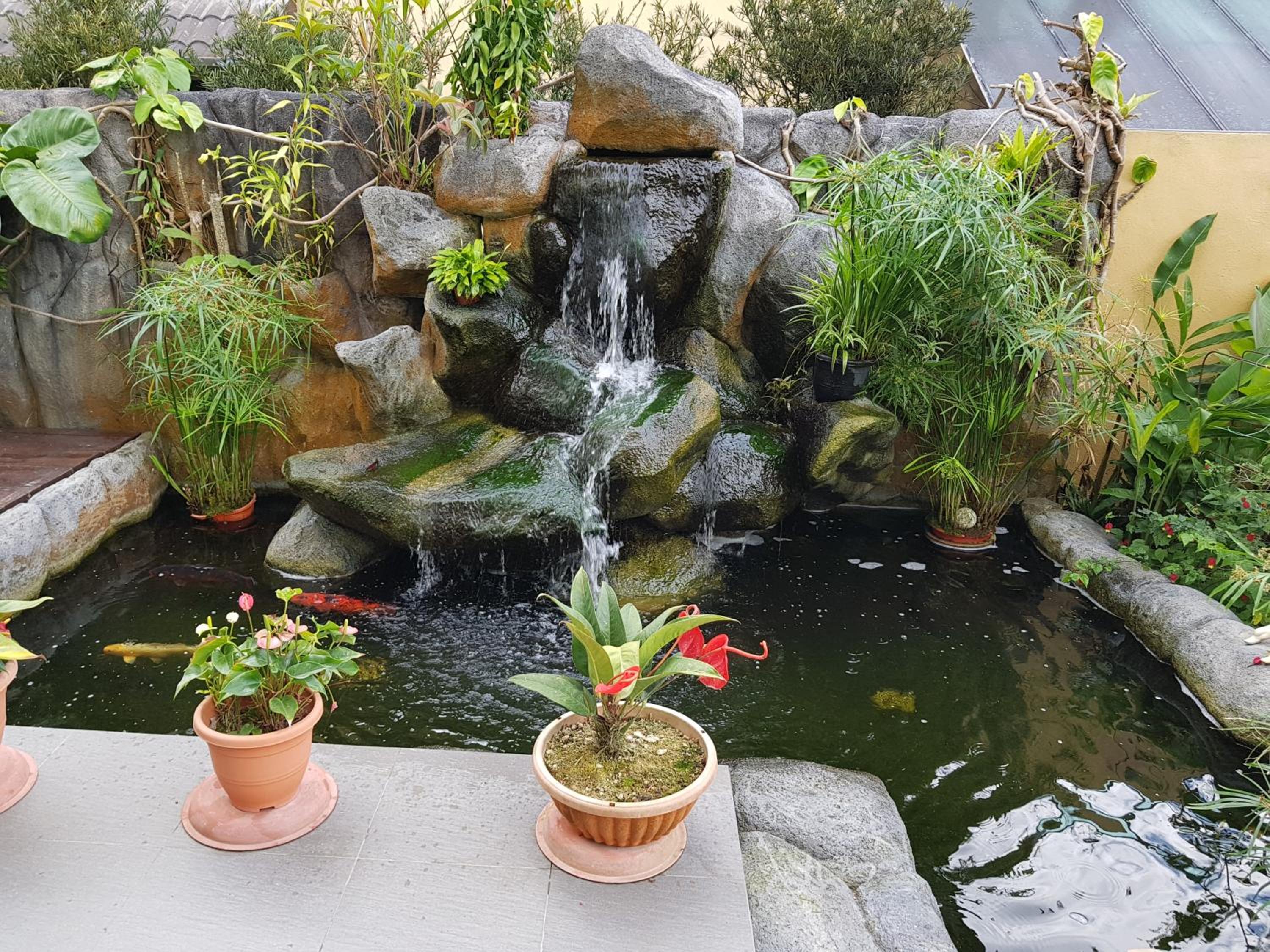 Photo 26