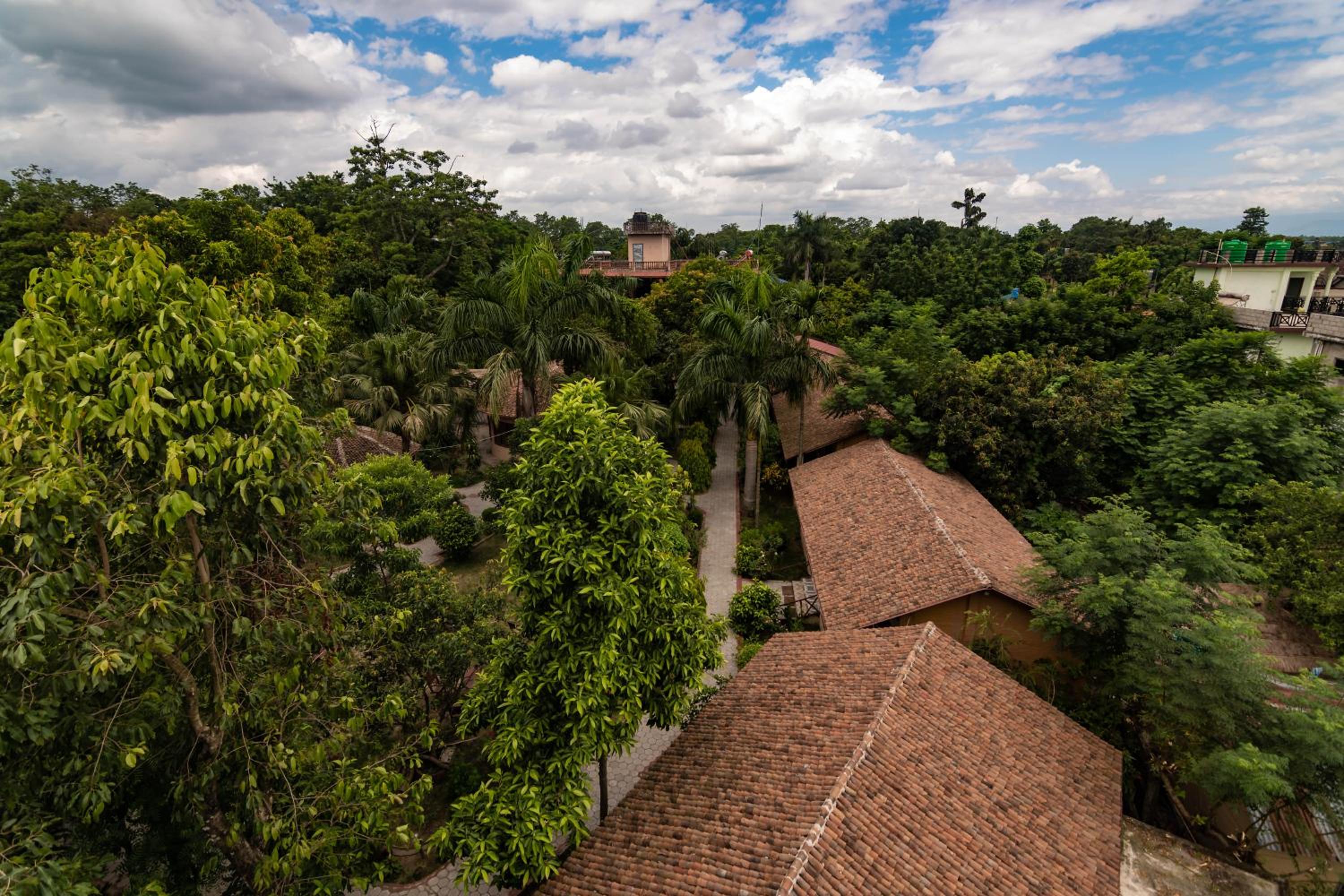 Eden jungle resort