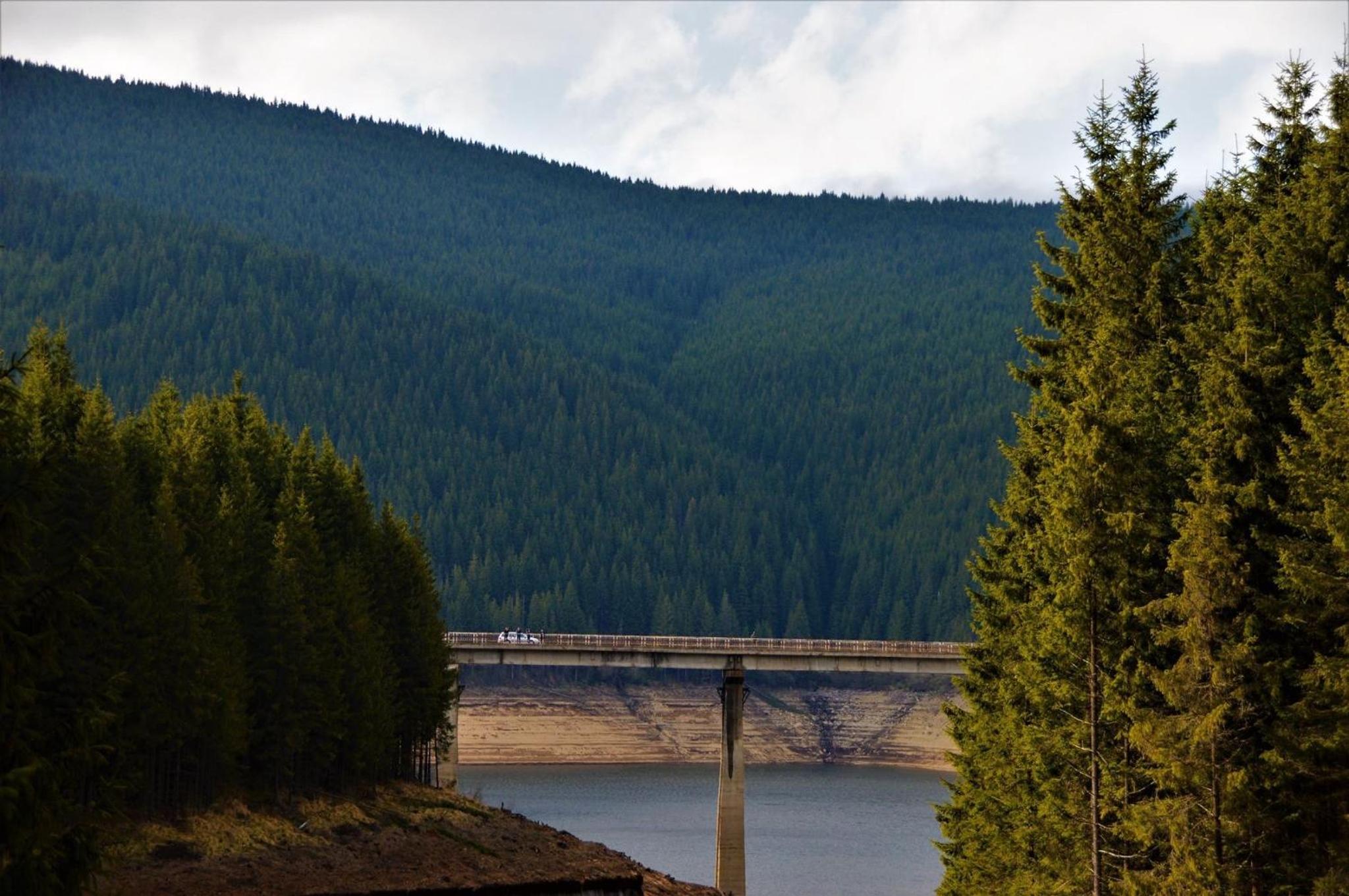 Cabana Cerbul-Oasa-Transalpina