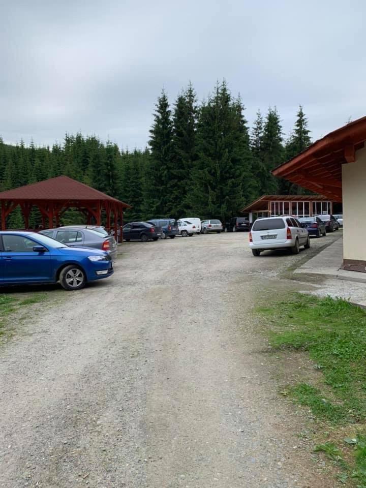 Cabana Cerbul-Oasa-Transalpina