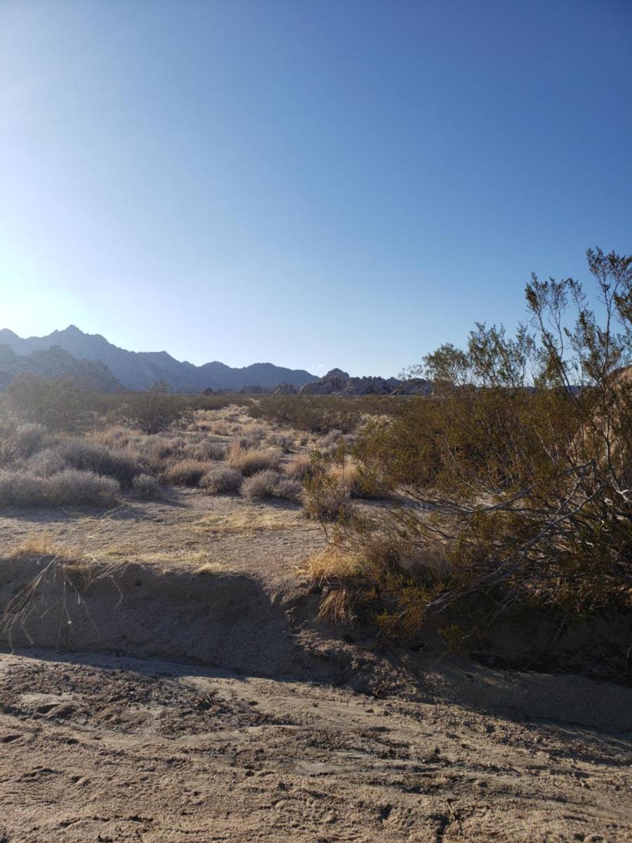 Palm Springs Vacations - Crashpod Hostel - Property Image 17