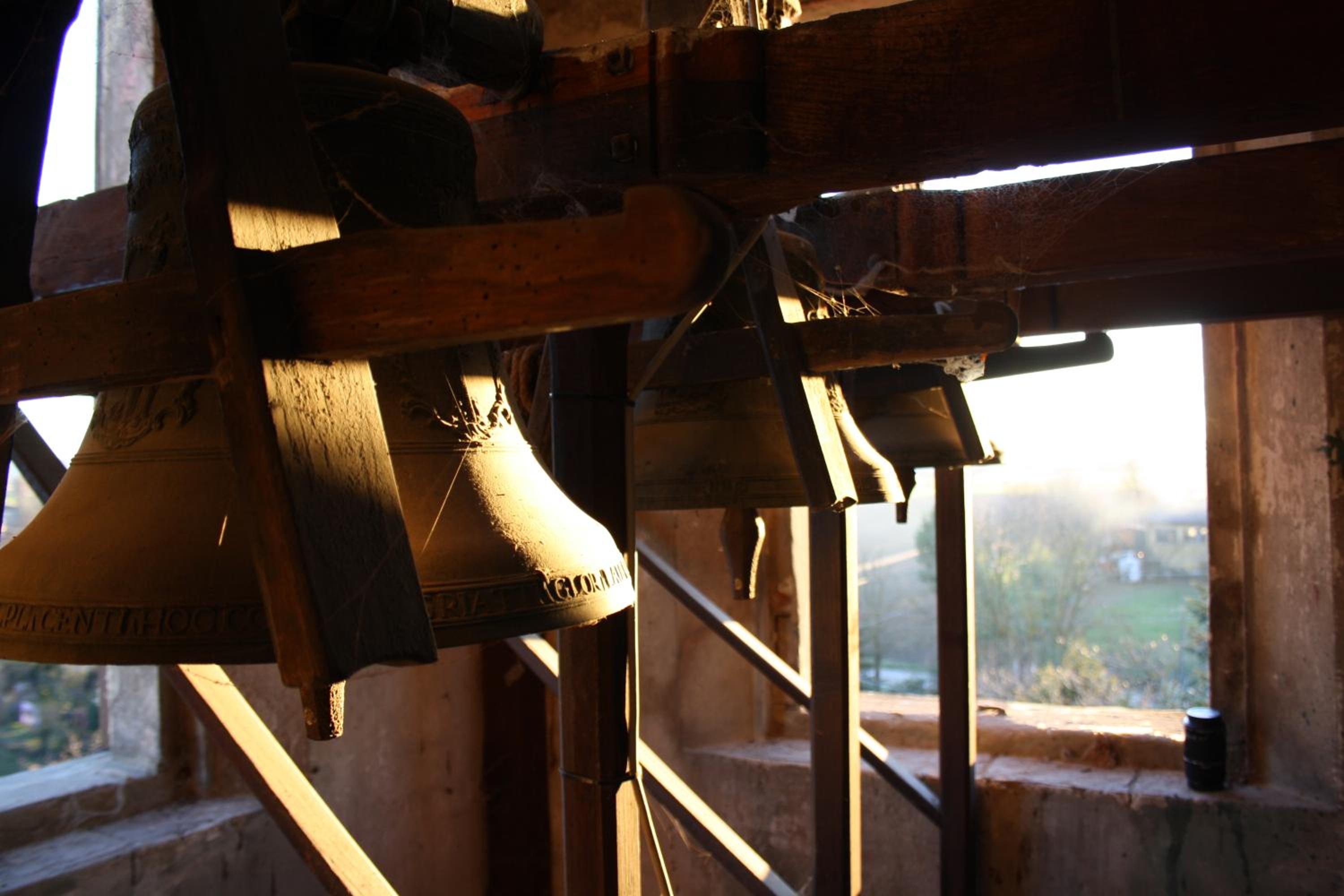 Photo 41