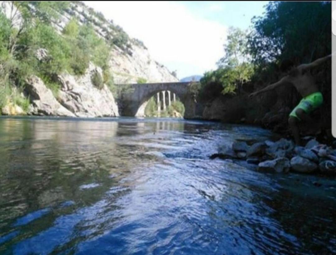 Photo 41