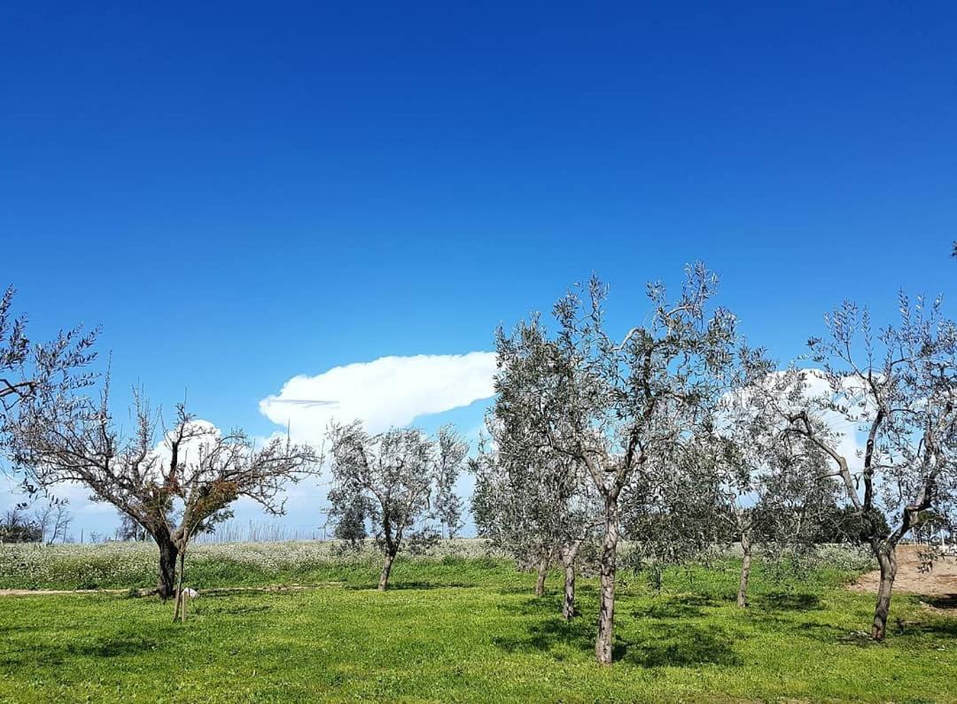 Agriturismo Masseria Mascitelli view 2