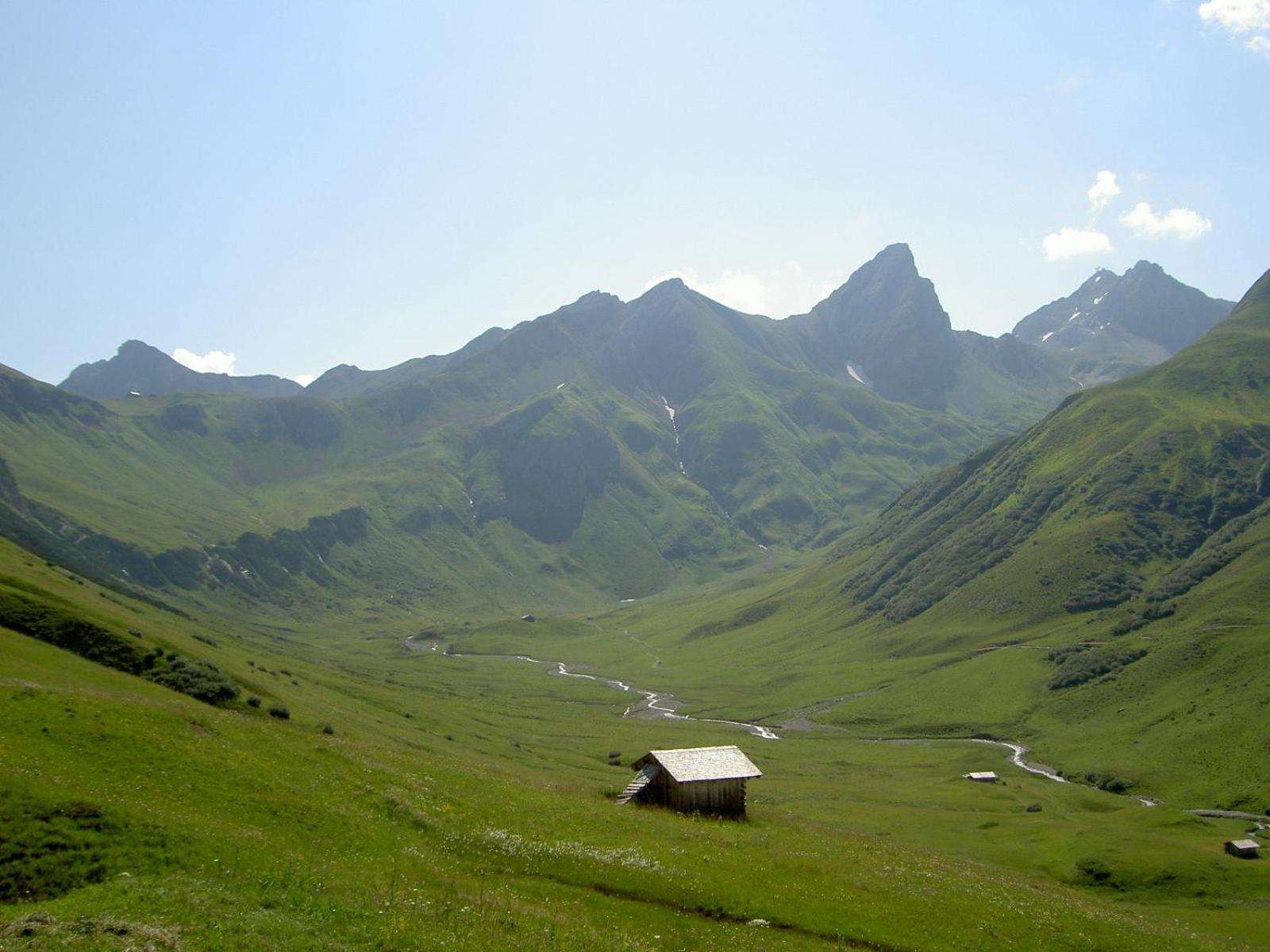 Photo 19