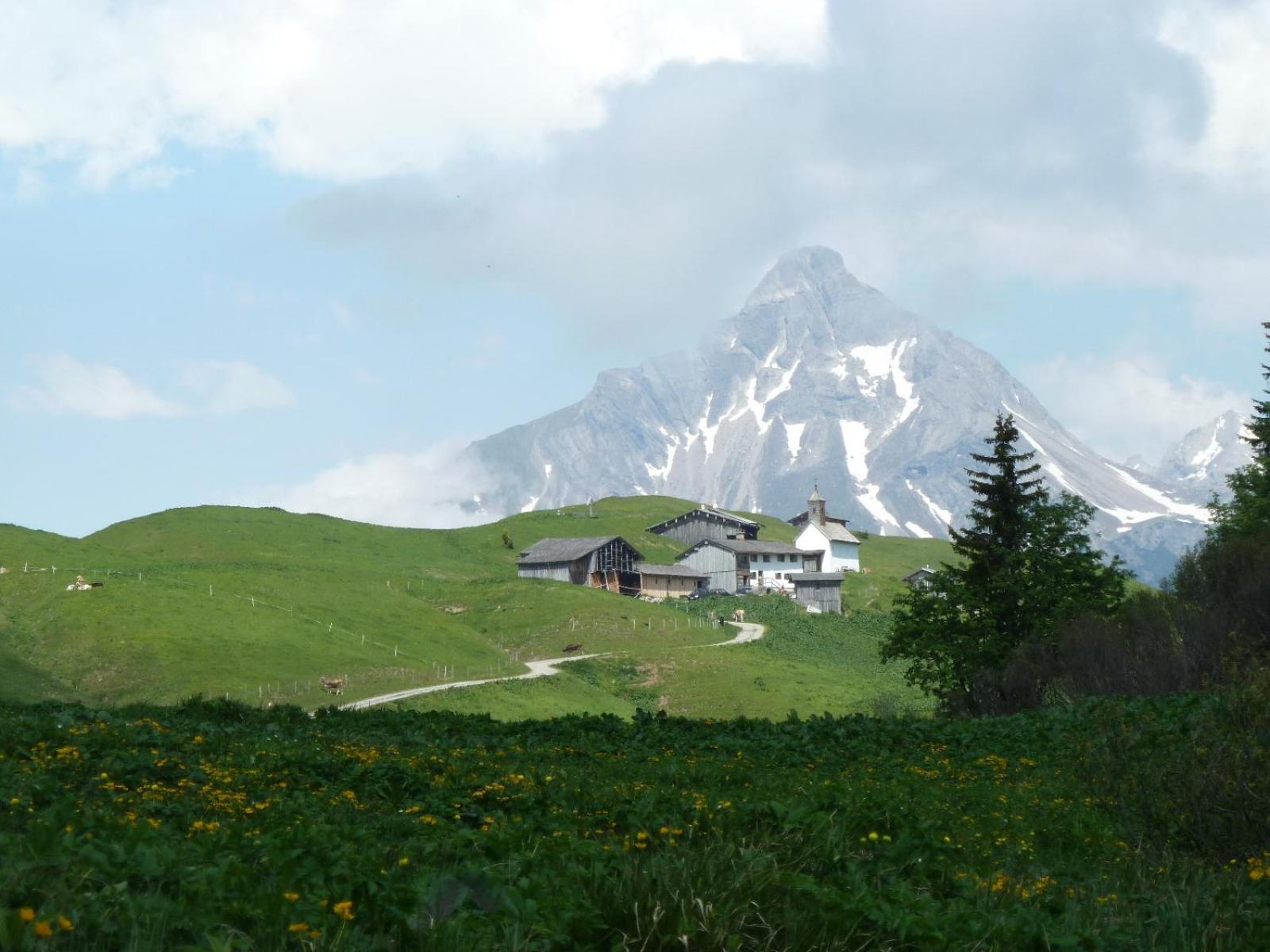 Photo 20