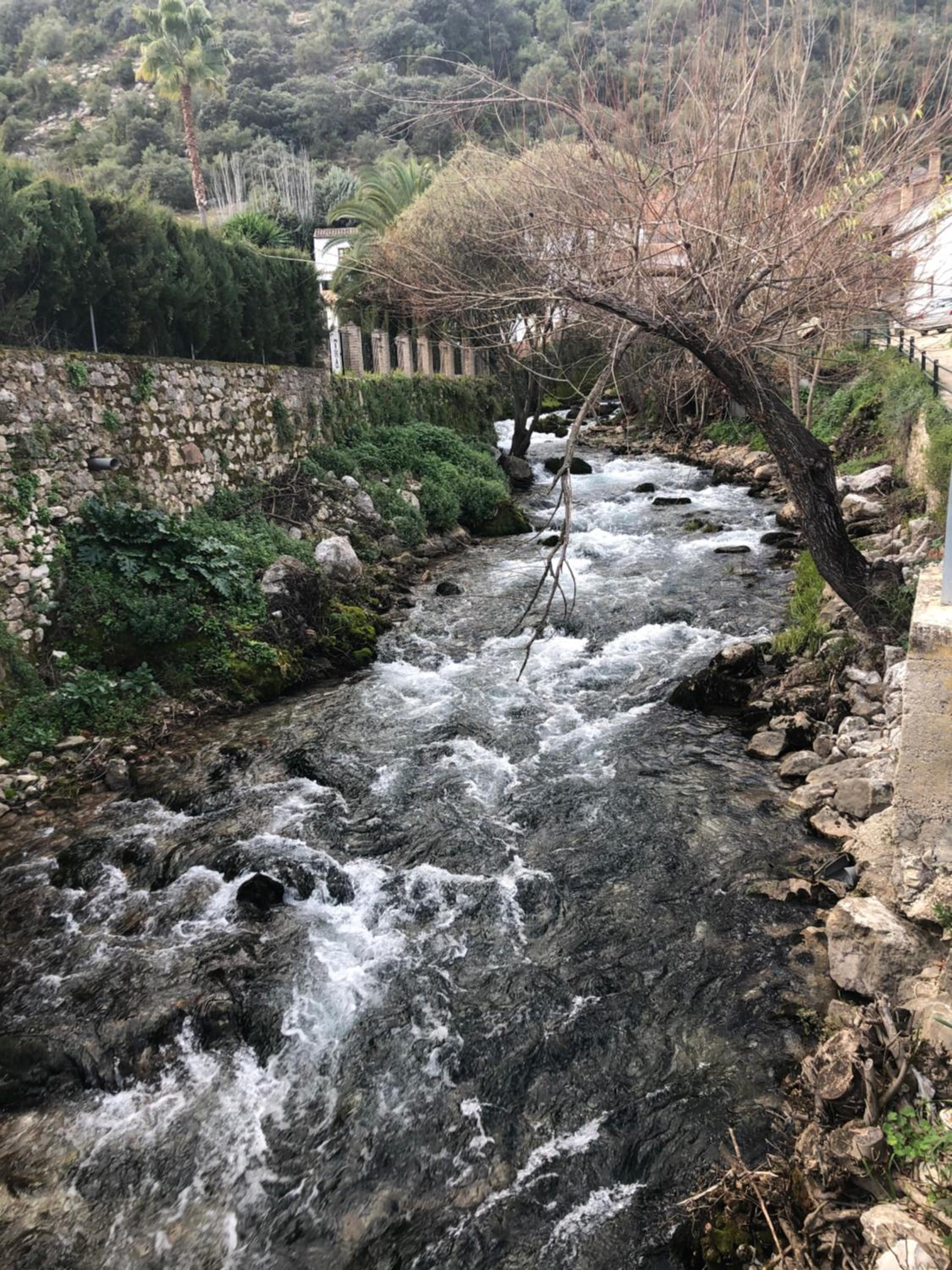 Photo 41