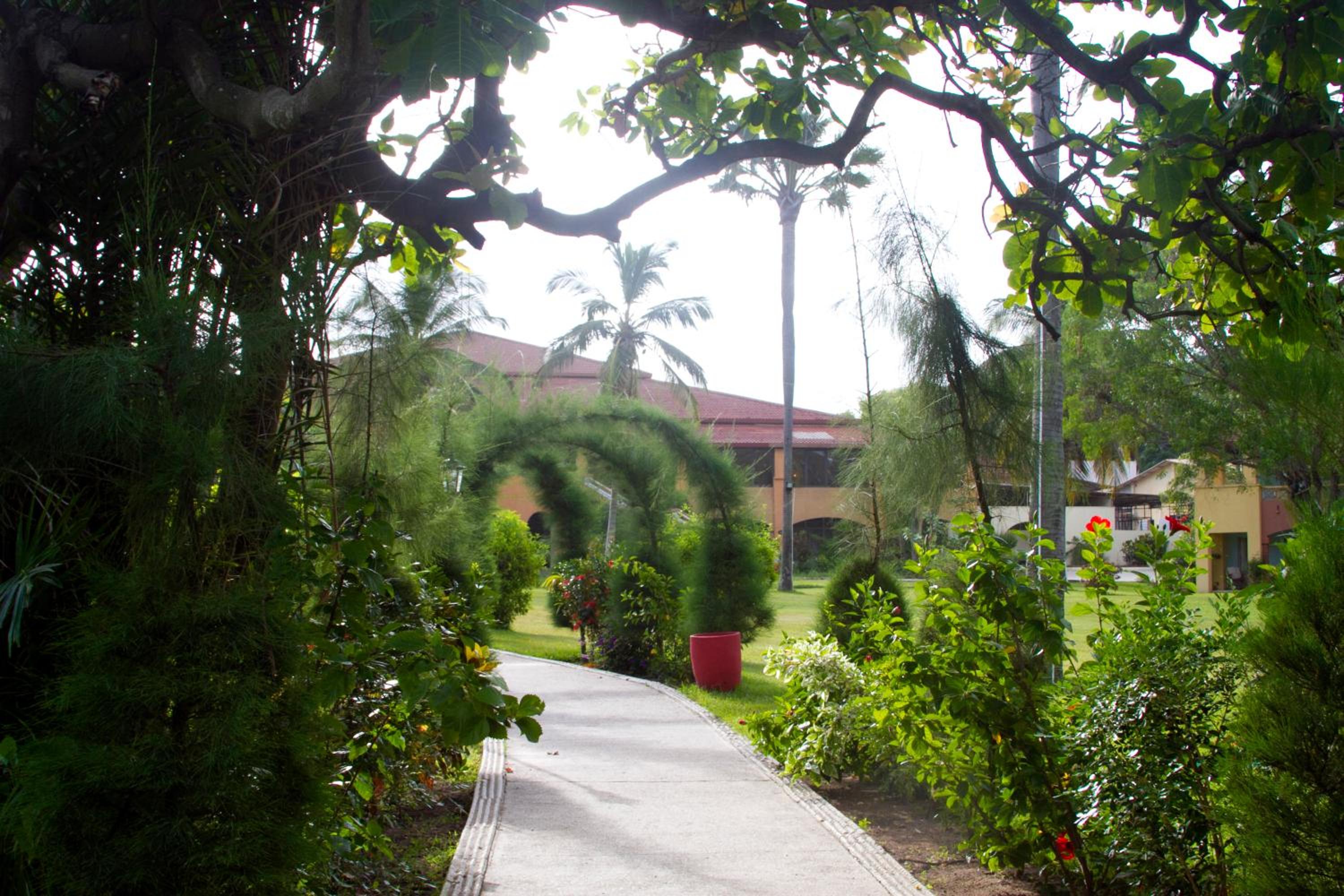 Photo 47