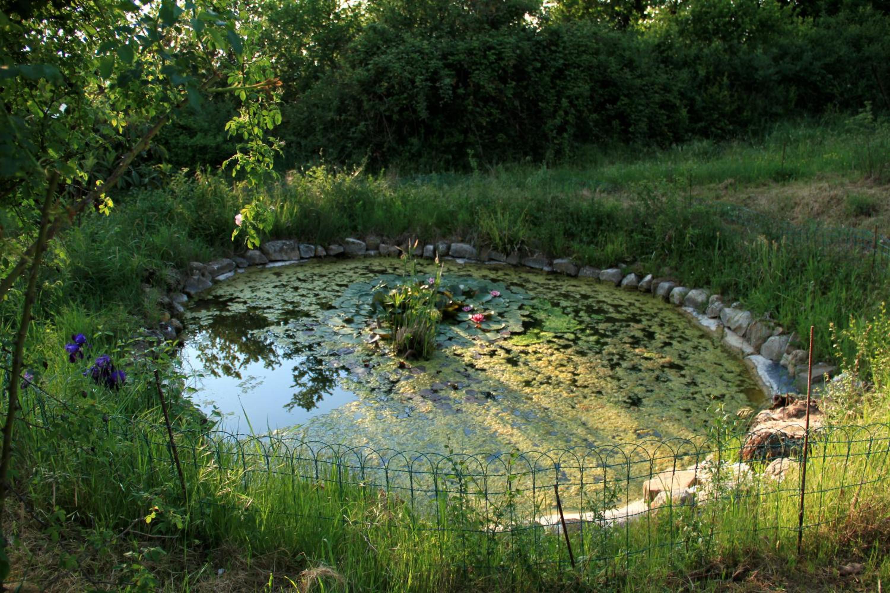 Photo 22
