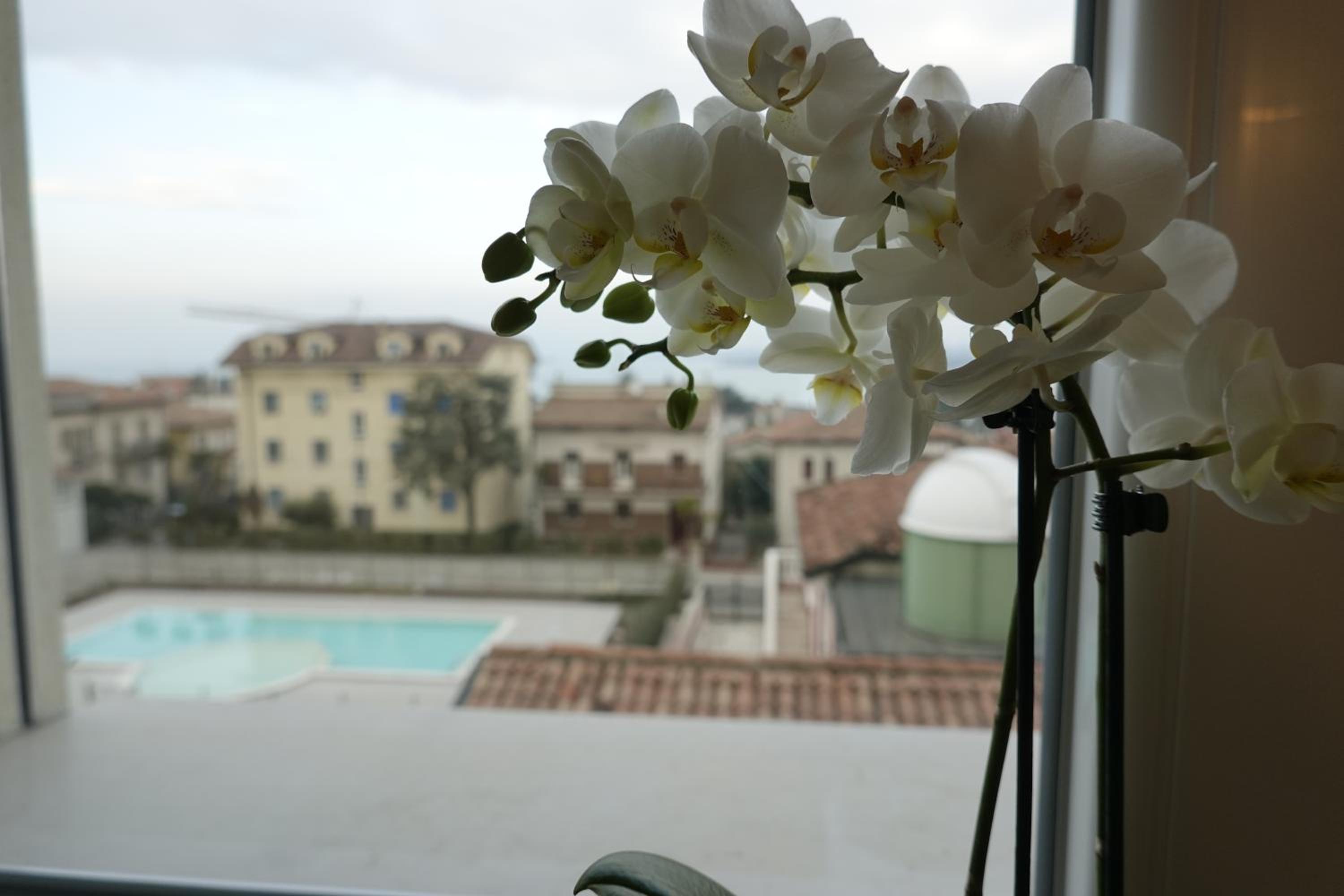 Photo 43