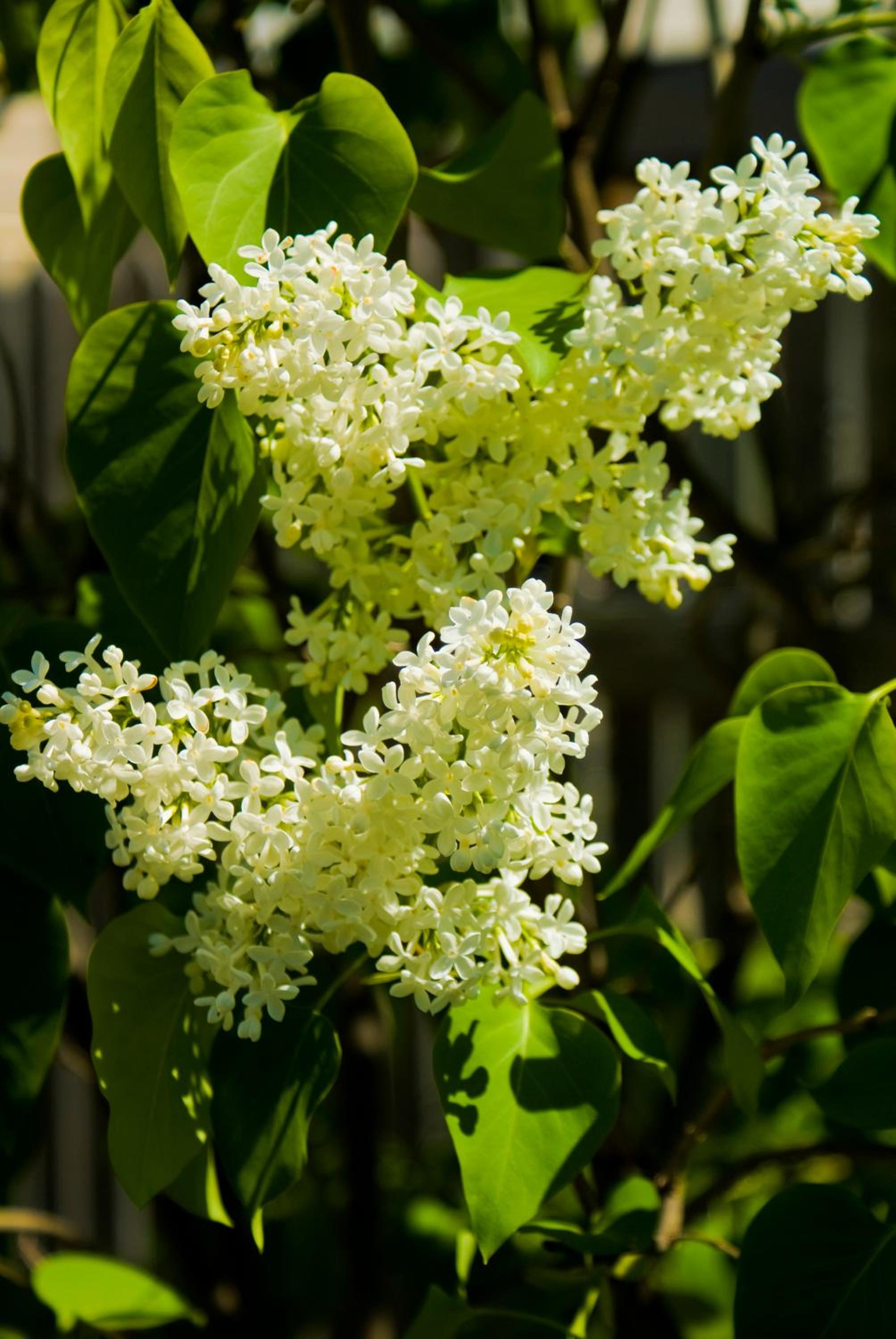 Gatekeeper's Retreat - Property Image 5