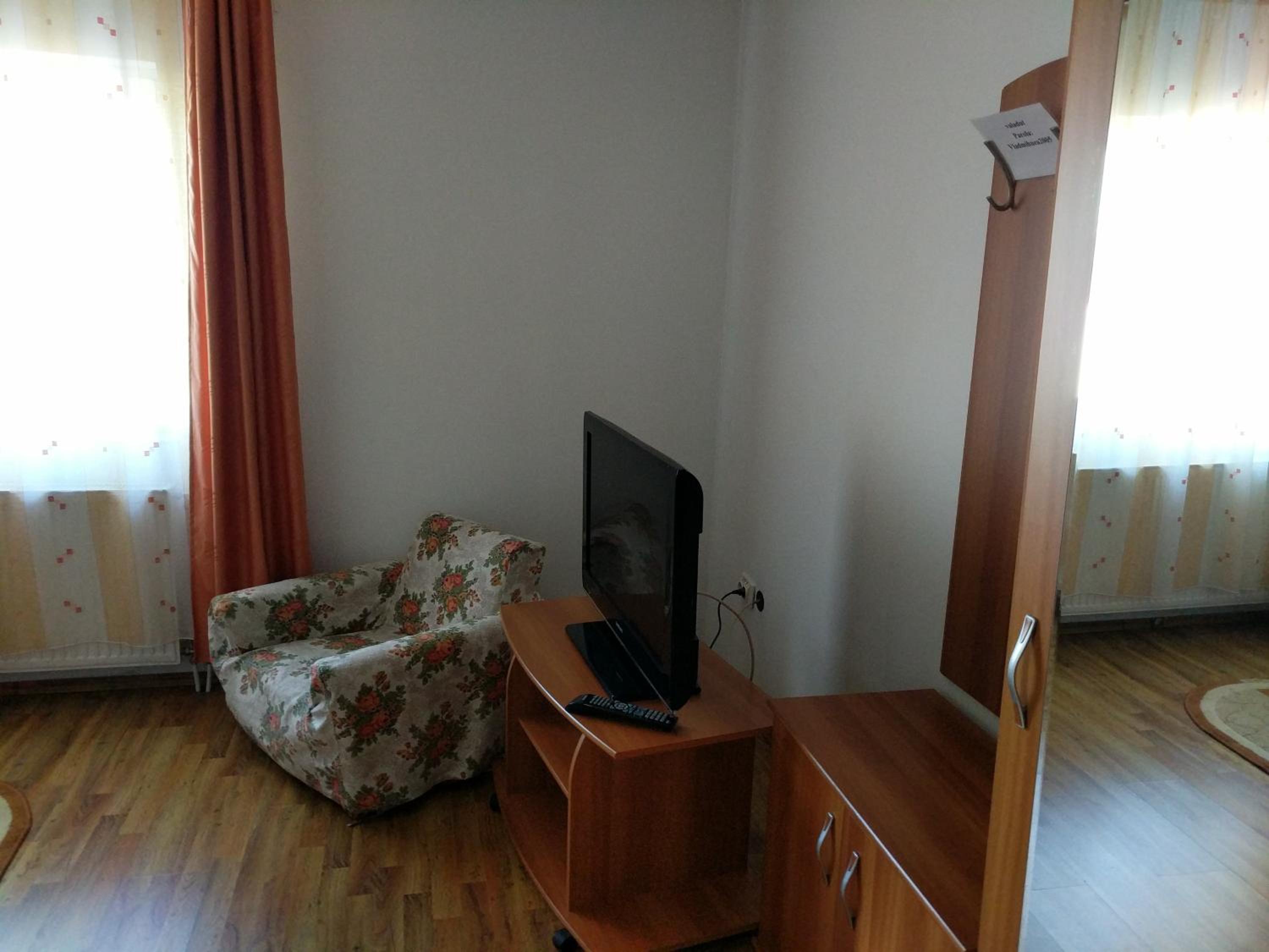 Pensiunea Vladut Timisoara view 5