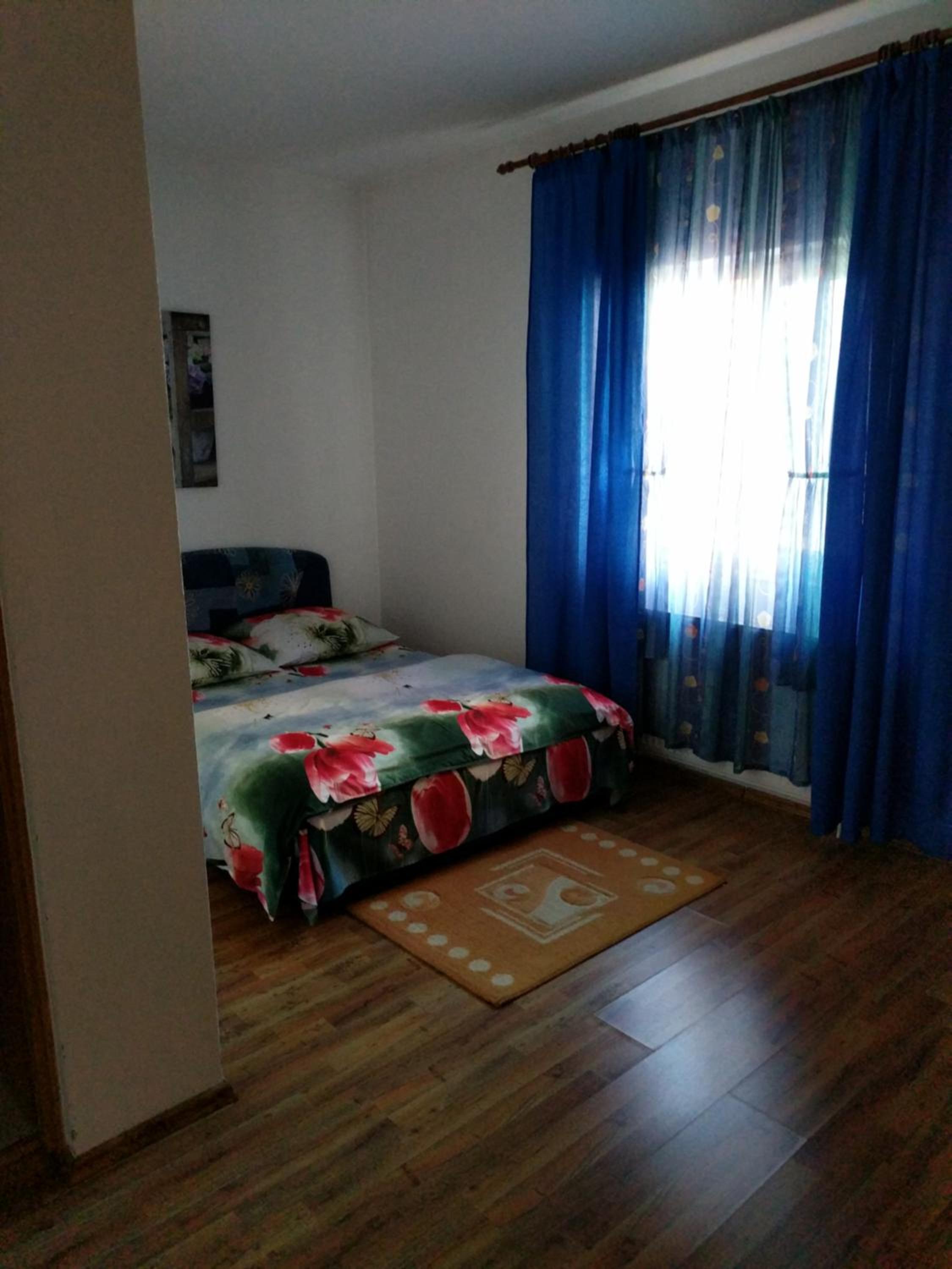Pensiunea Vladut Timisoara view 4