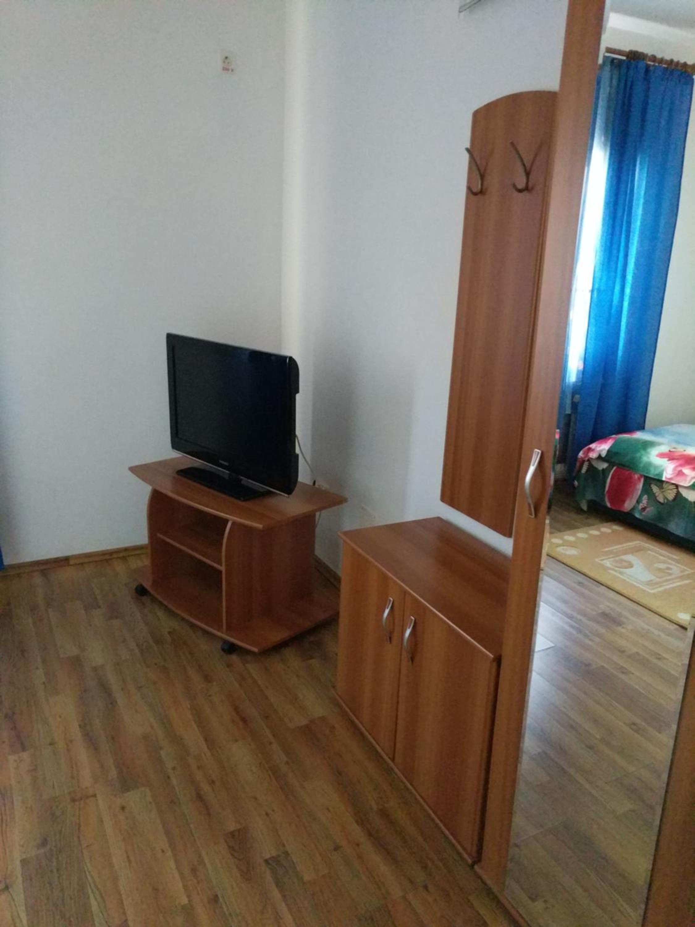 Pensiunea Vladut Timisoara view 2