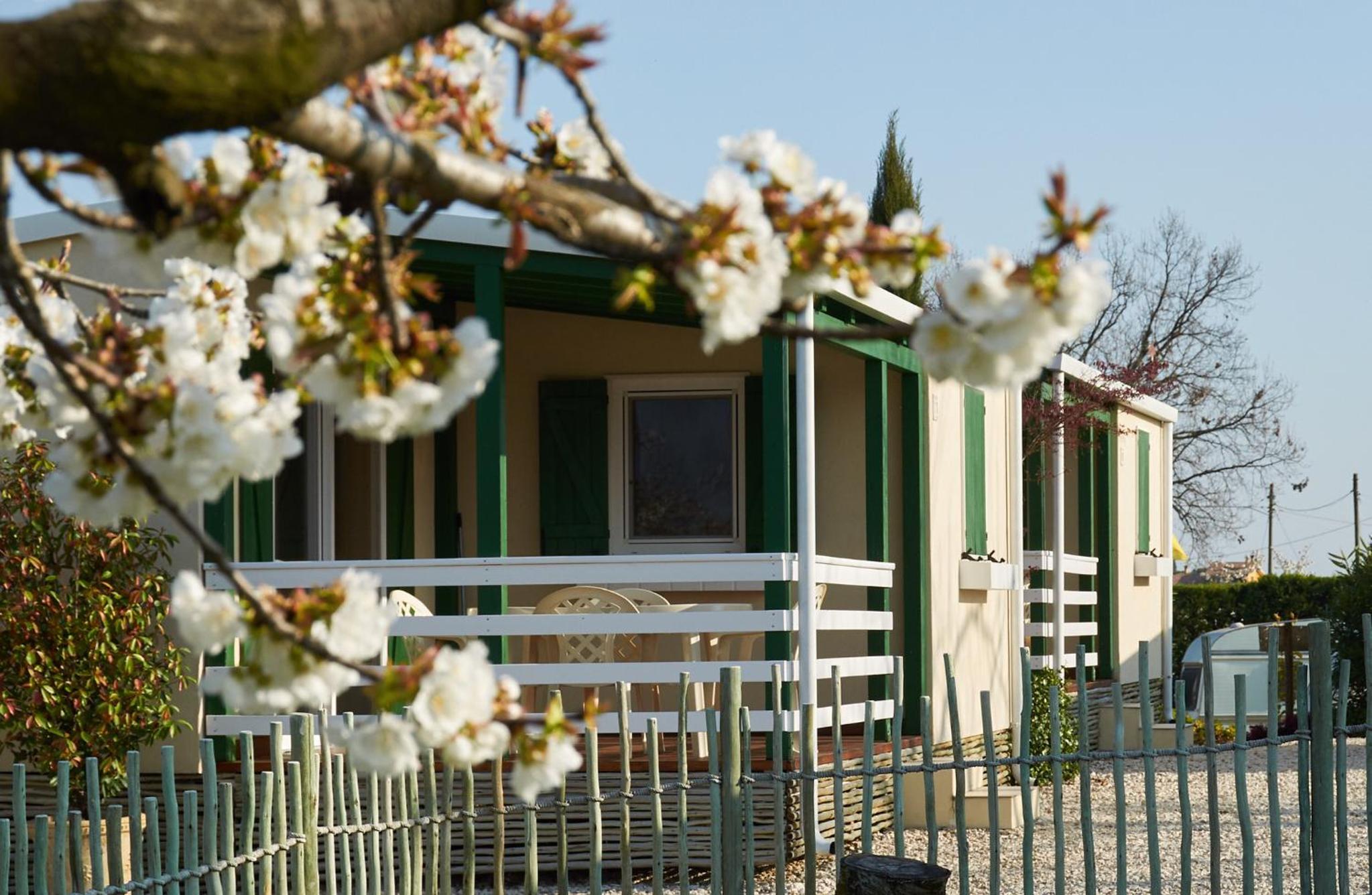 Hotel Agriturismo & Agricamping Serena - Image 1