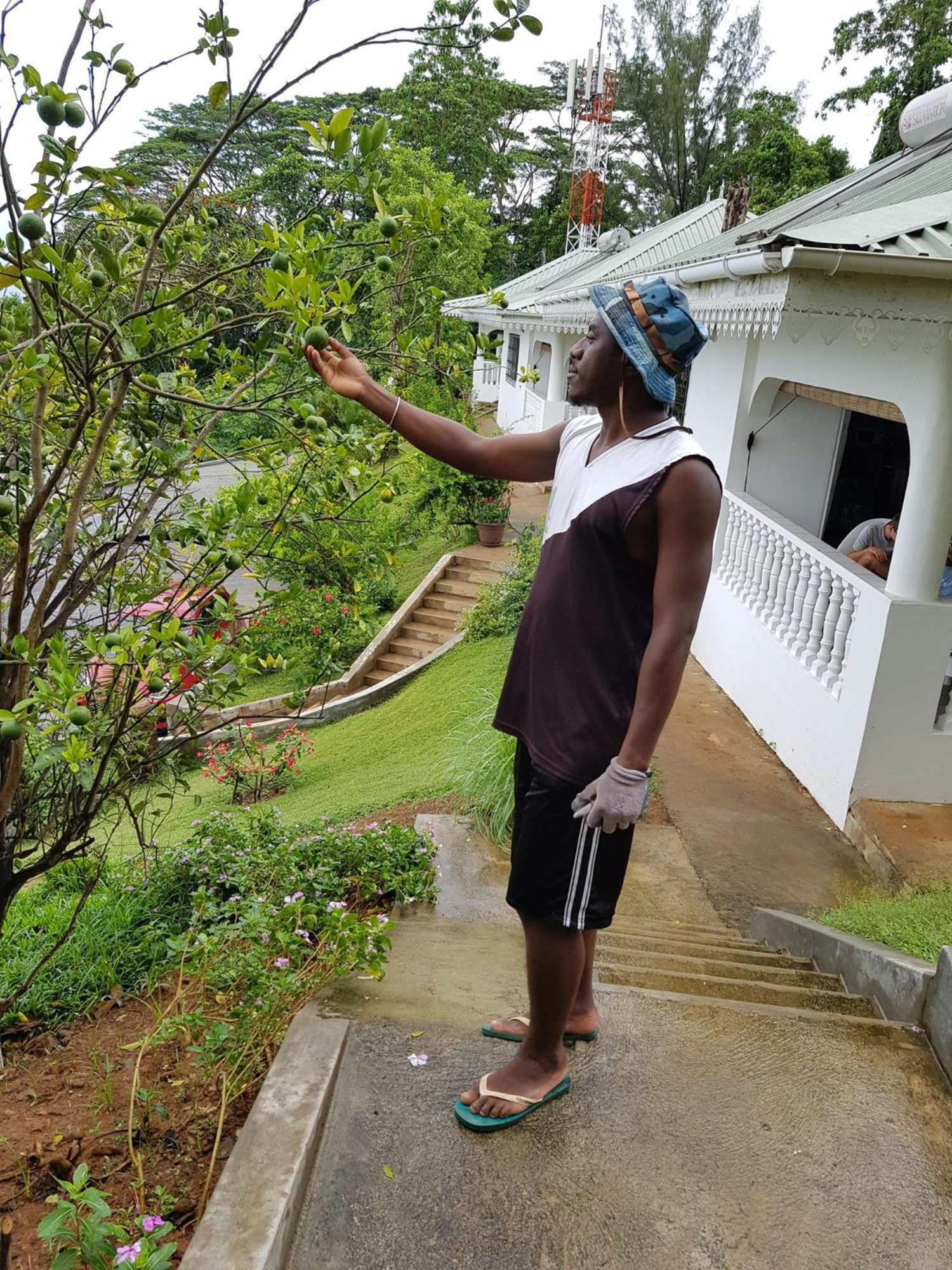 Chepsted Chalets photo 4