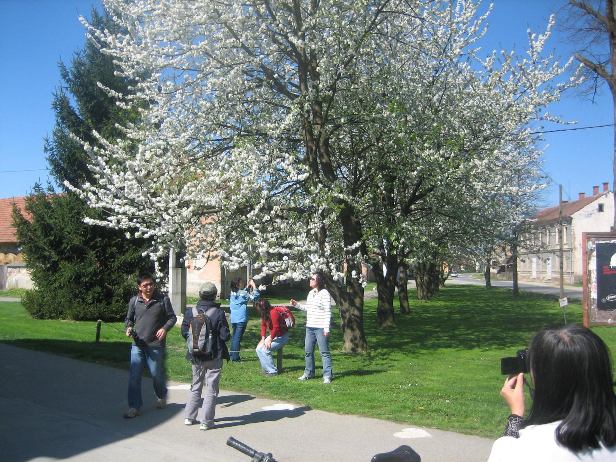 Photo 29