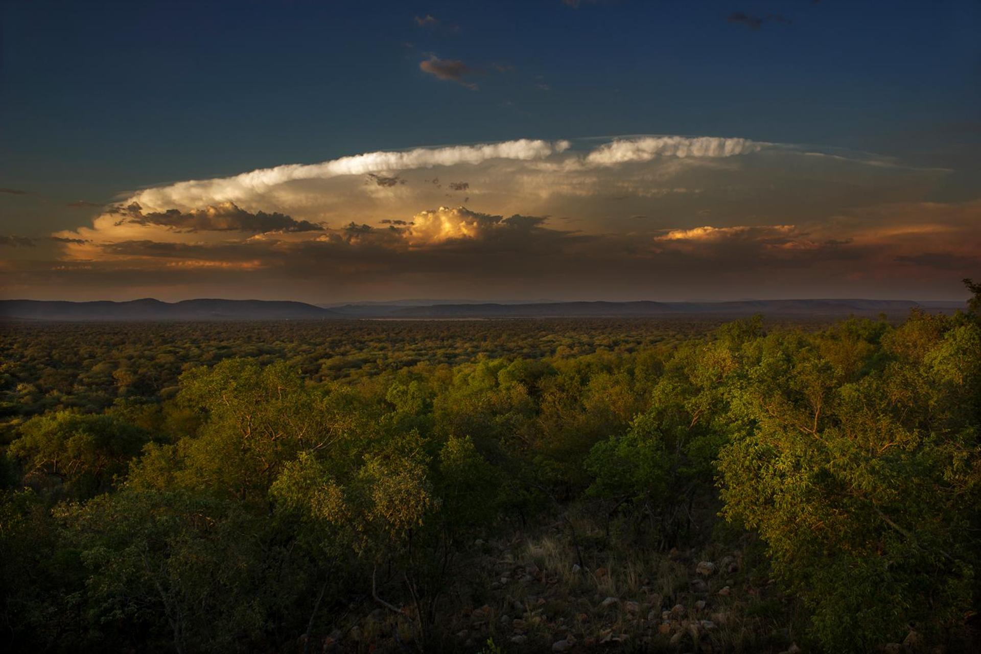 Thabaledi Game Lodge
