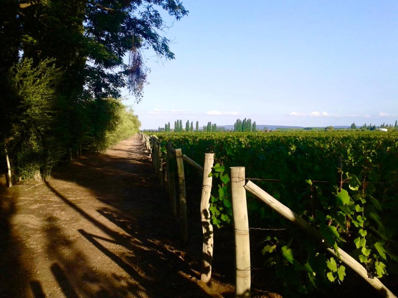 Departamento en Luján de Cuyo, Perfecta ubicación para visitar viñedos!