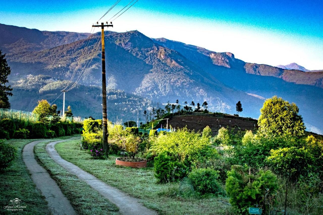 Photo 42