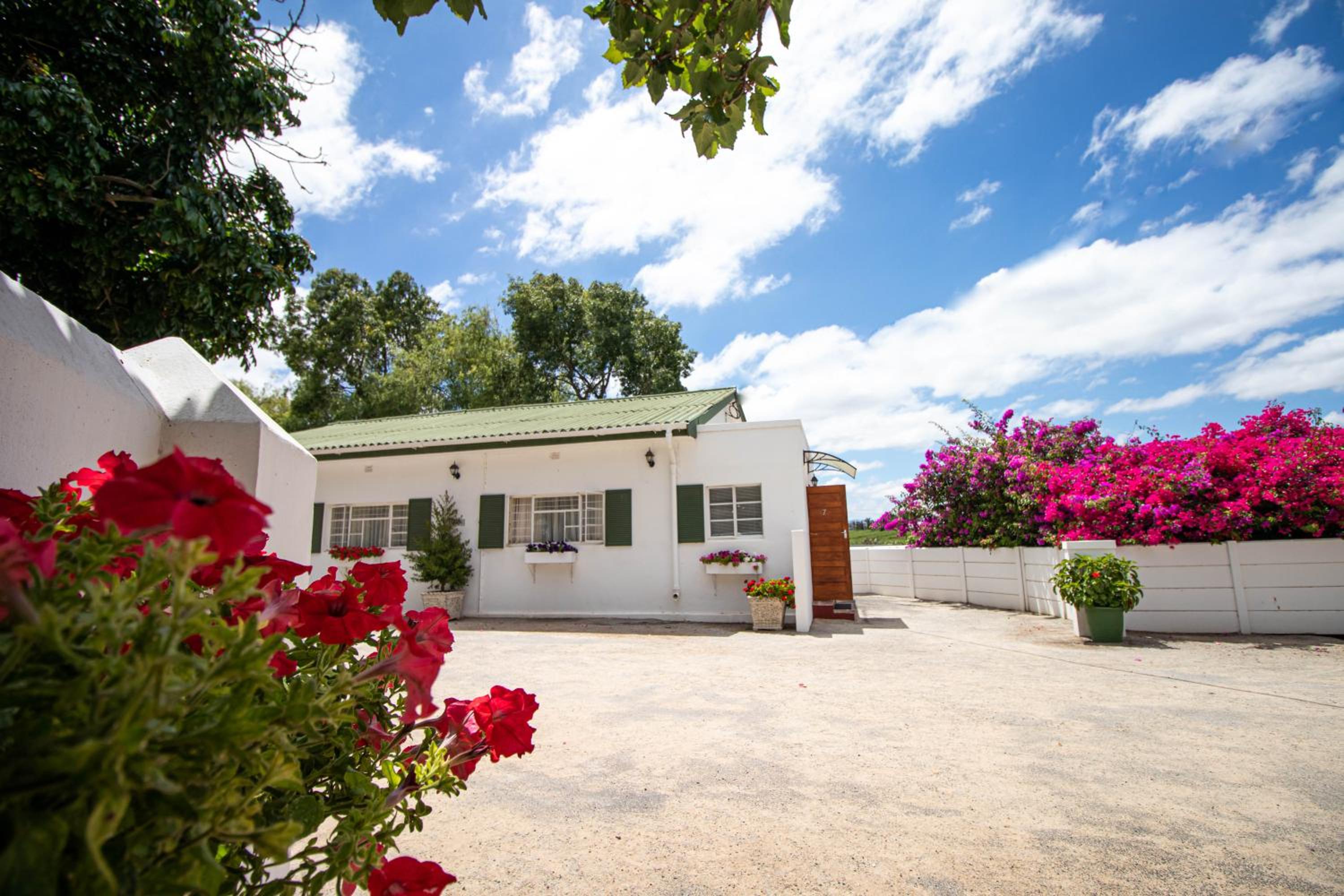 Green Olive Guesthouse