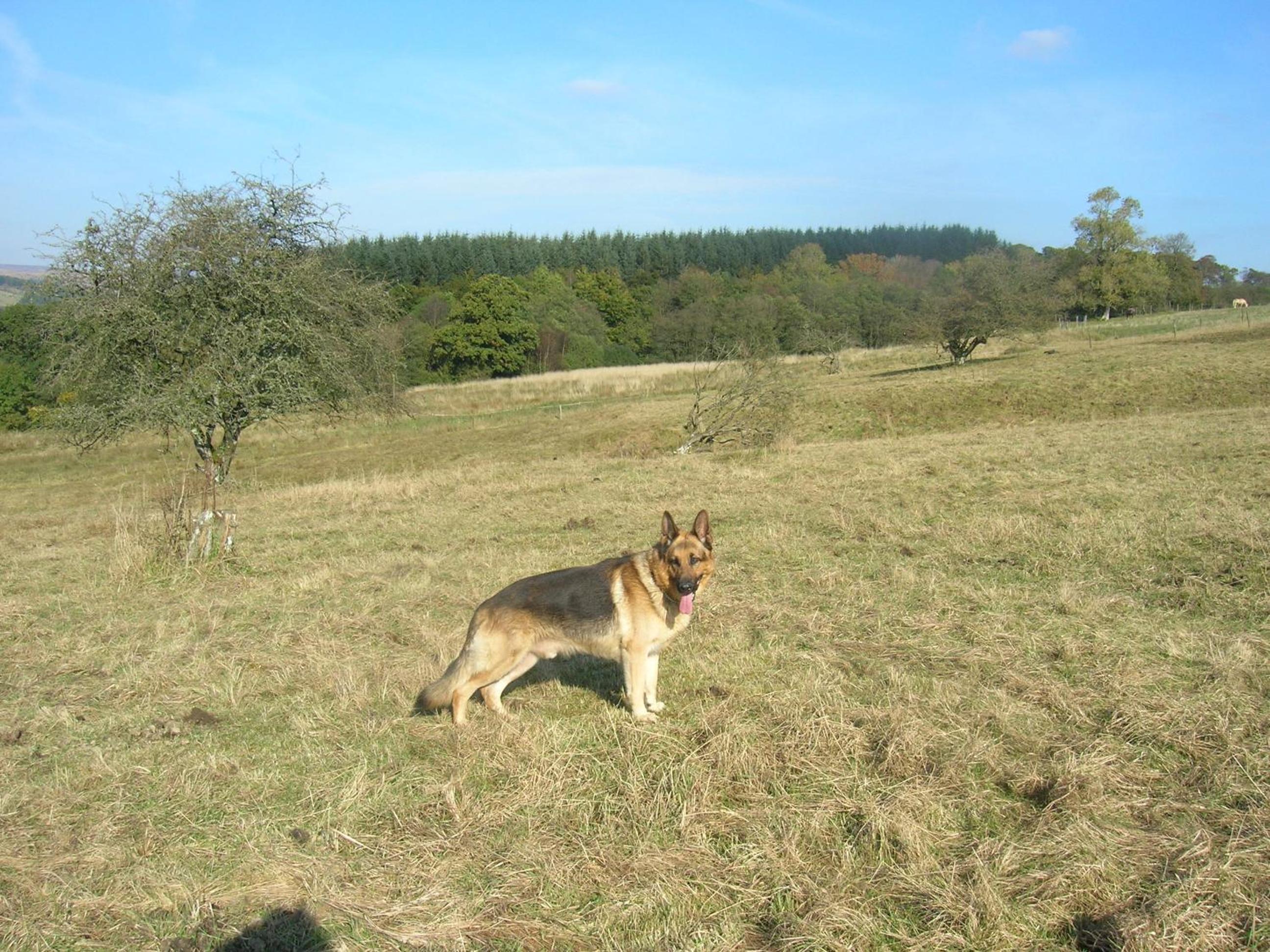Photo 29