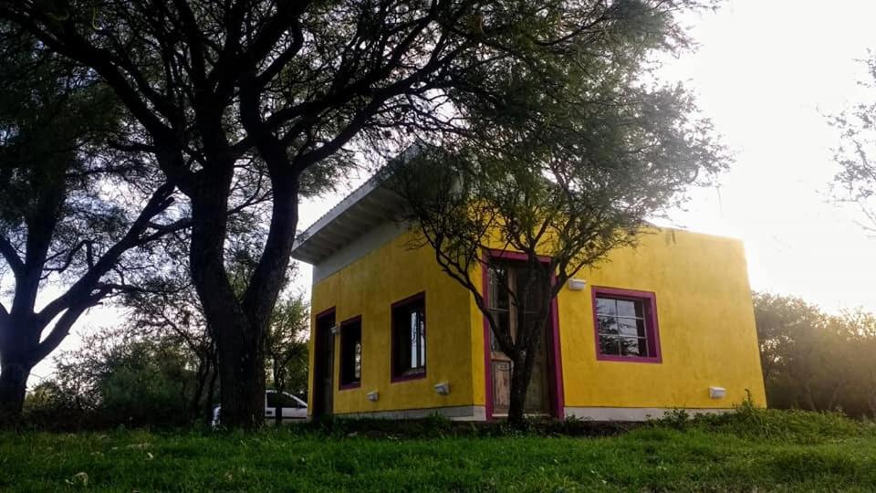 apartamento VINTAGE LU
