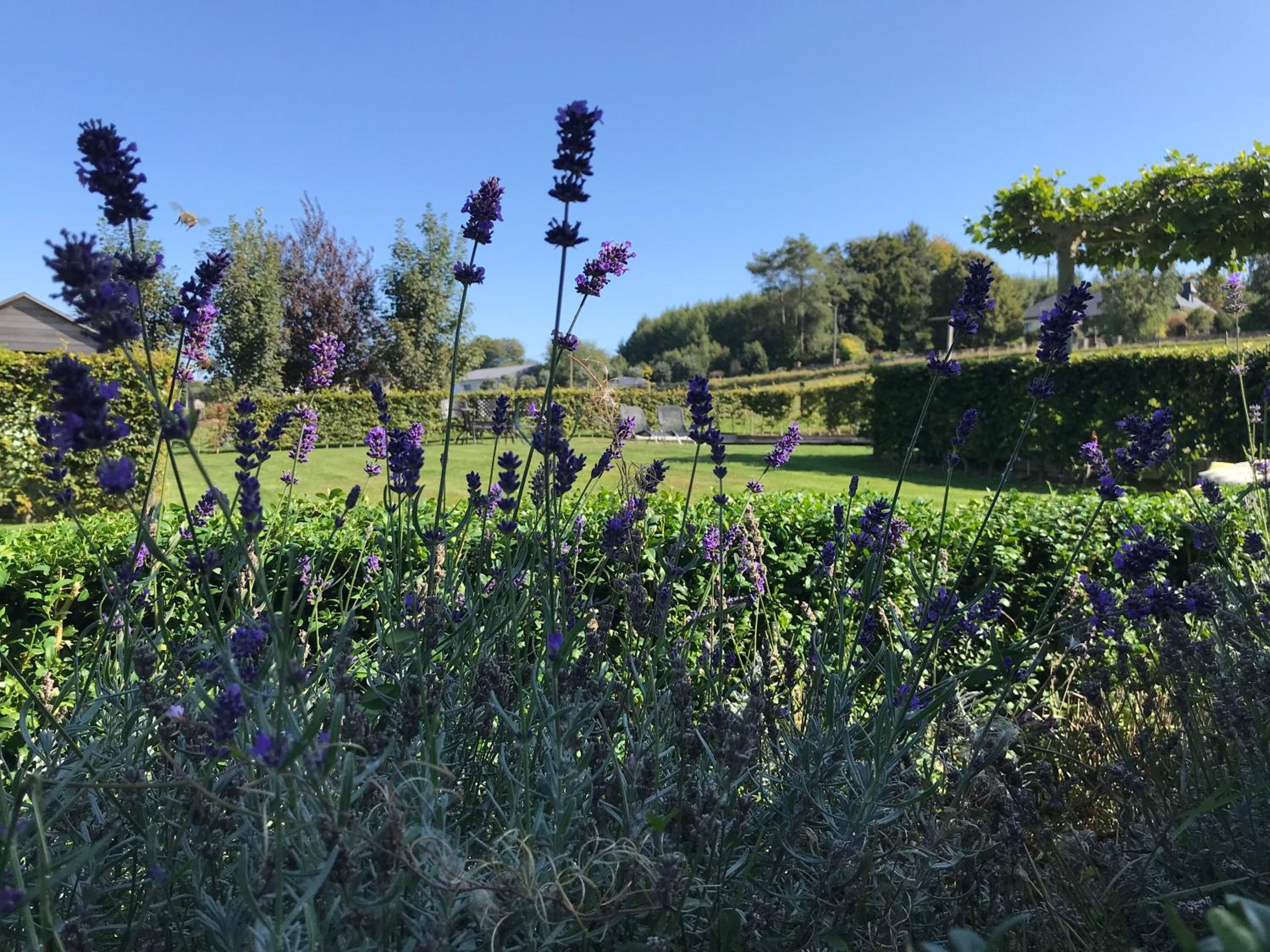 Vakantiewoning mogimont
