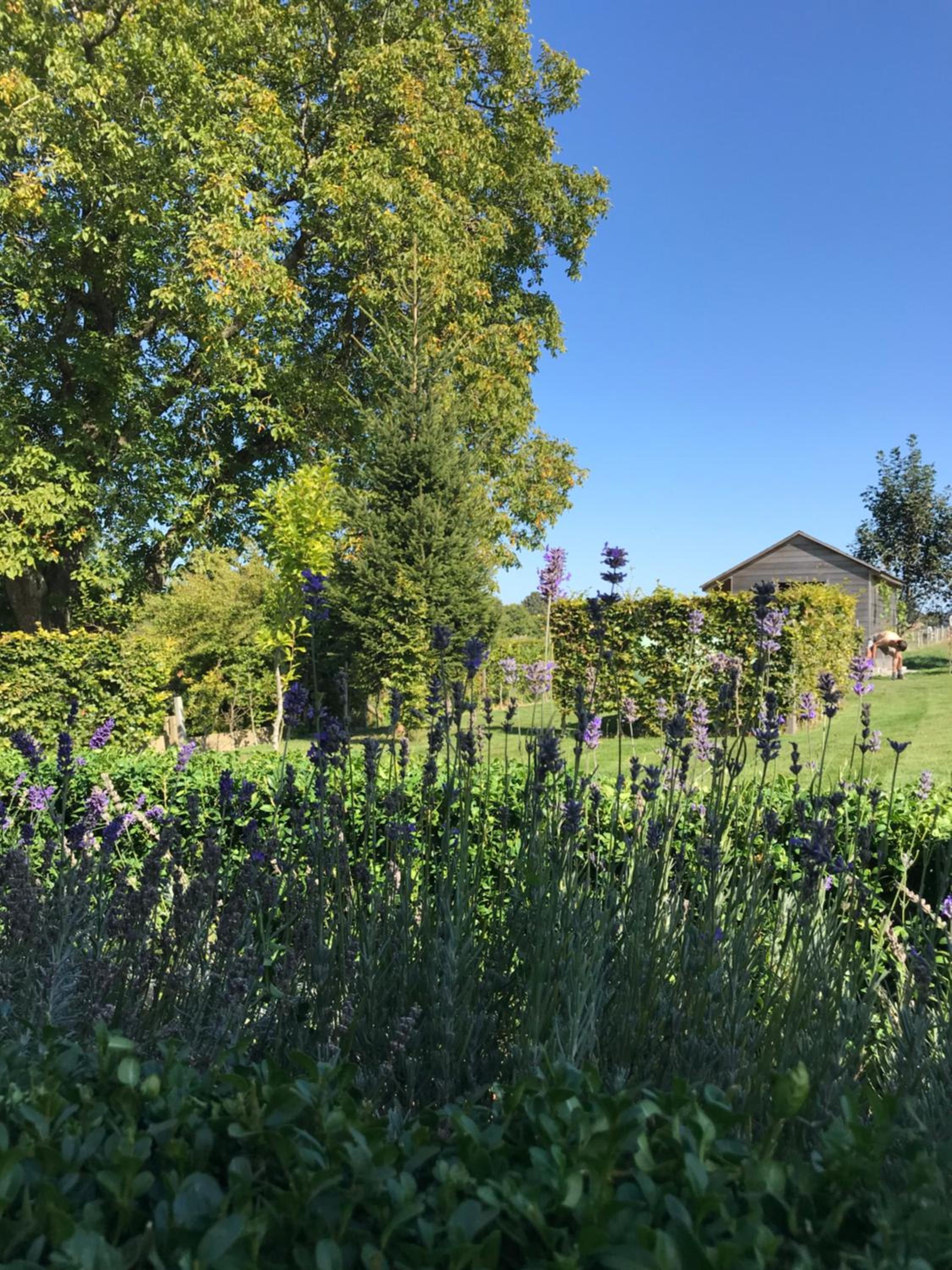 Vakantiewoning mogimont