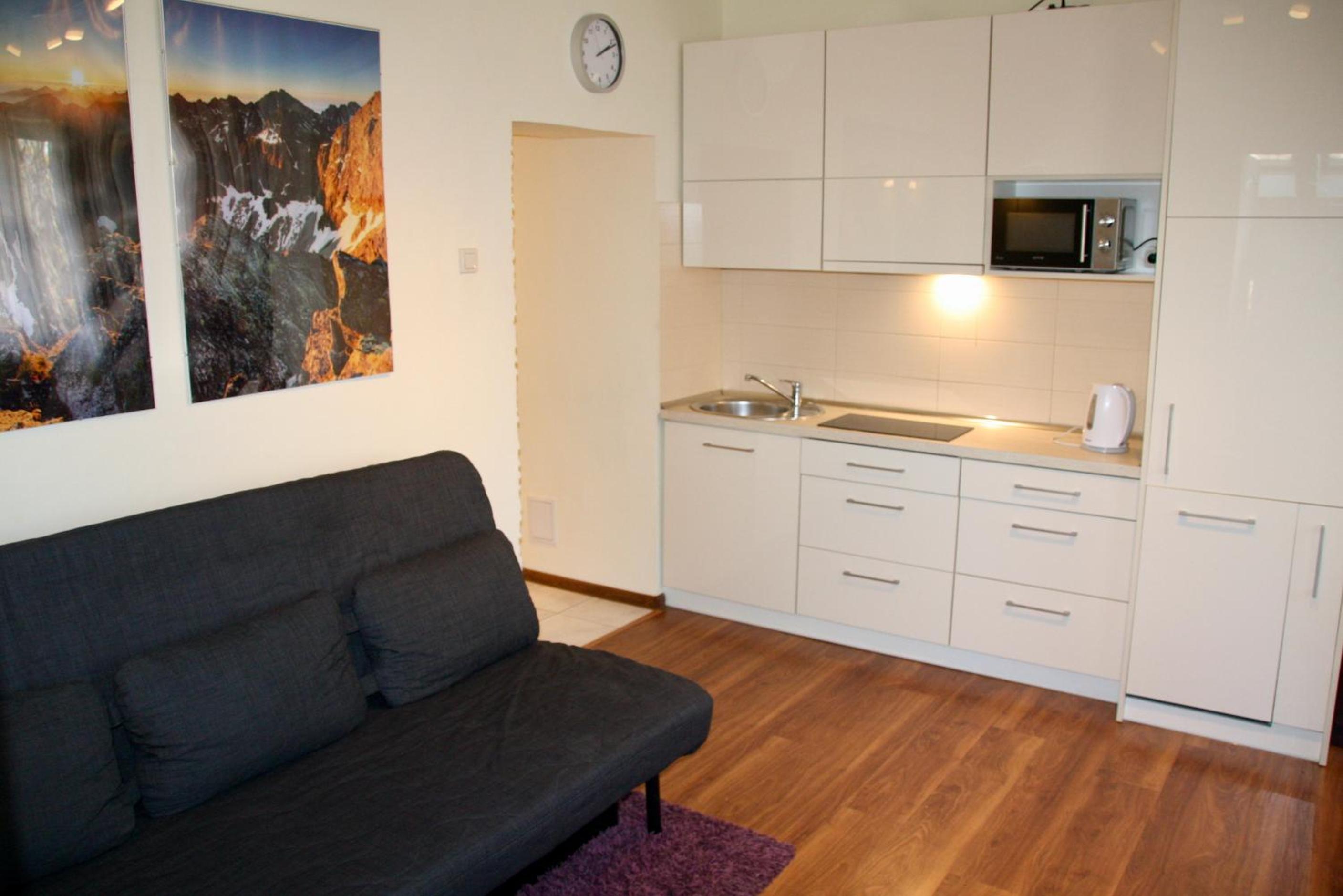 Apartament Kasztanowy Centrum view 3