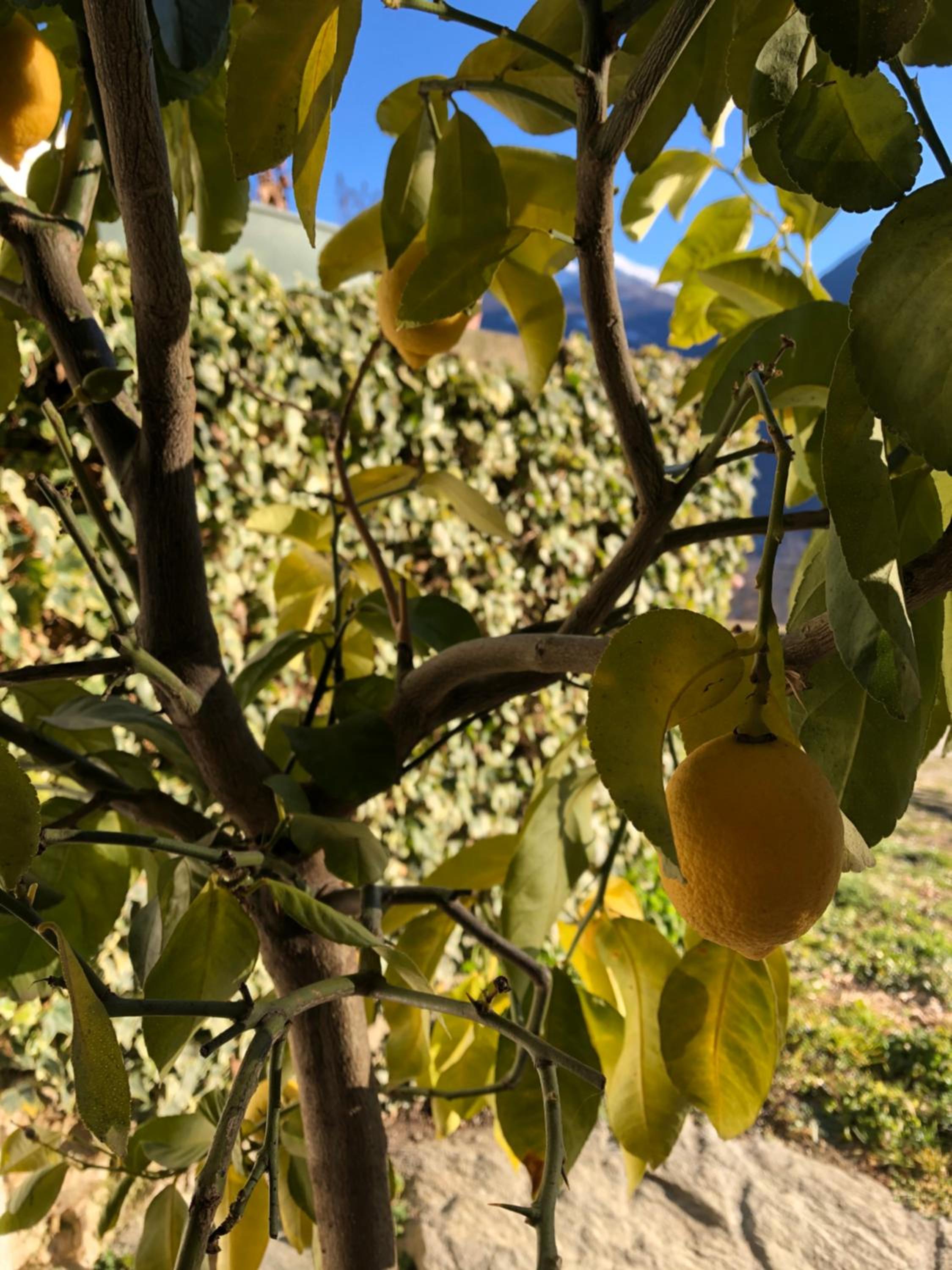 Agriturismo Cavria