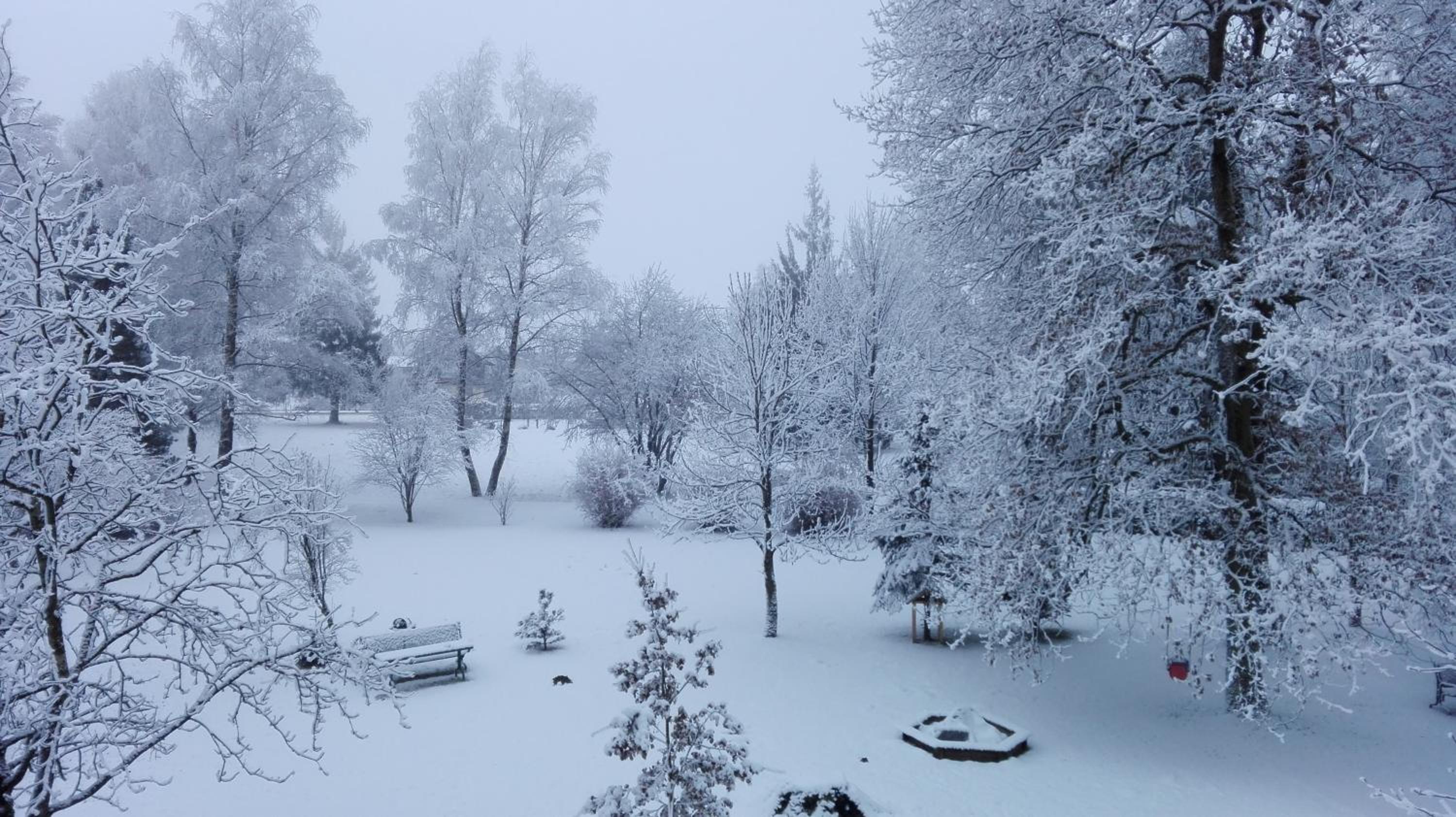 Pension Garni Burgwies ink Nationalpark Sommercard