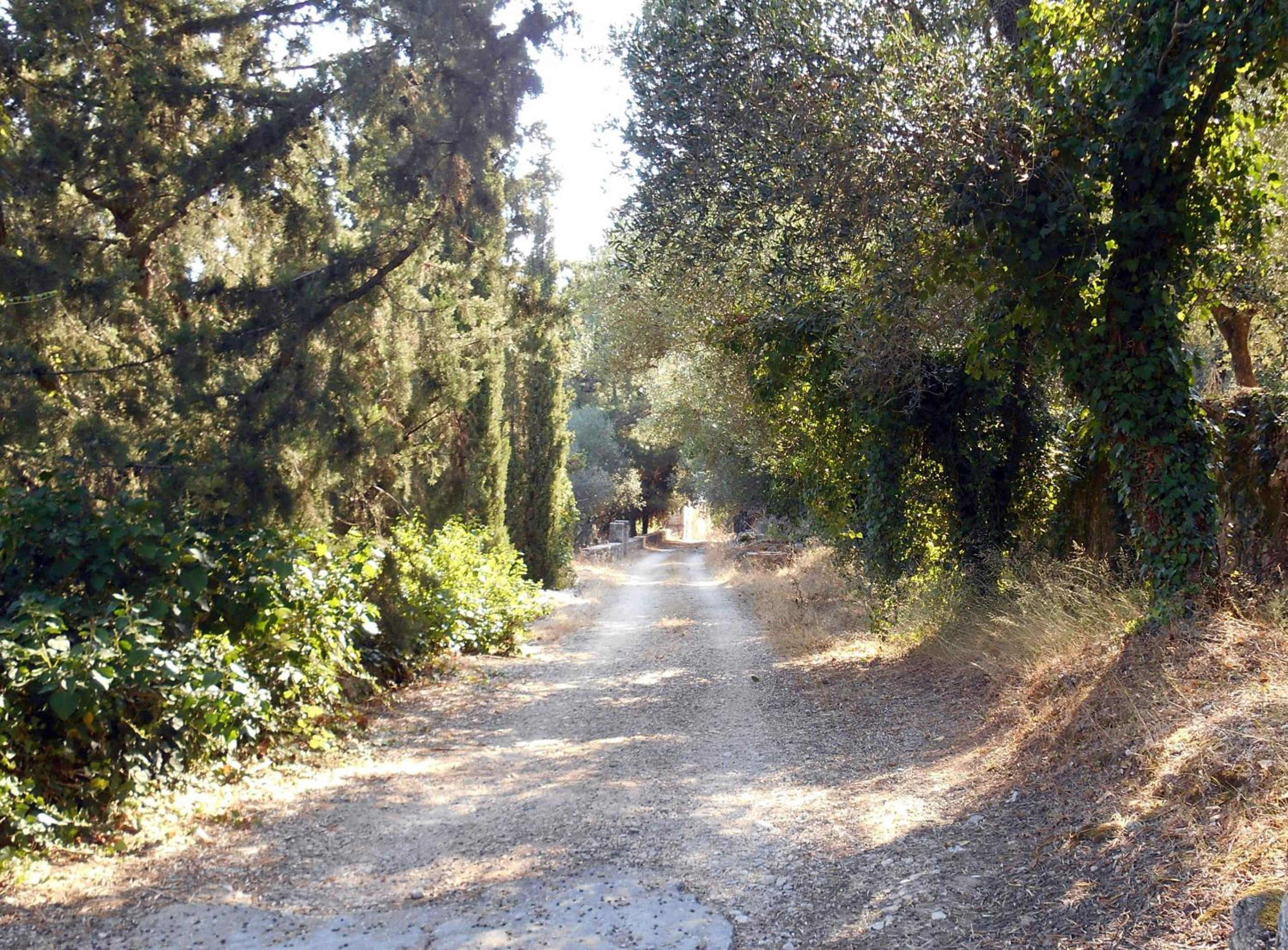 Photo 40