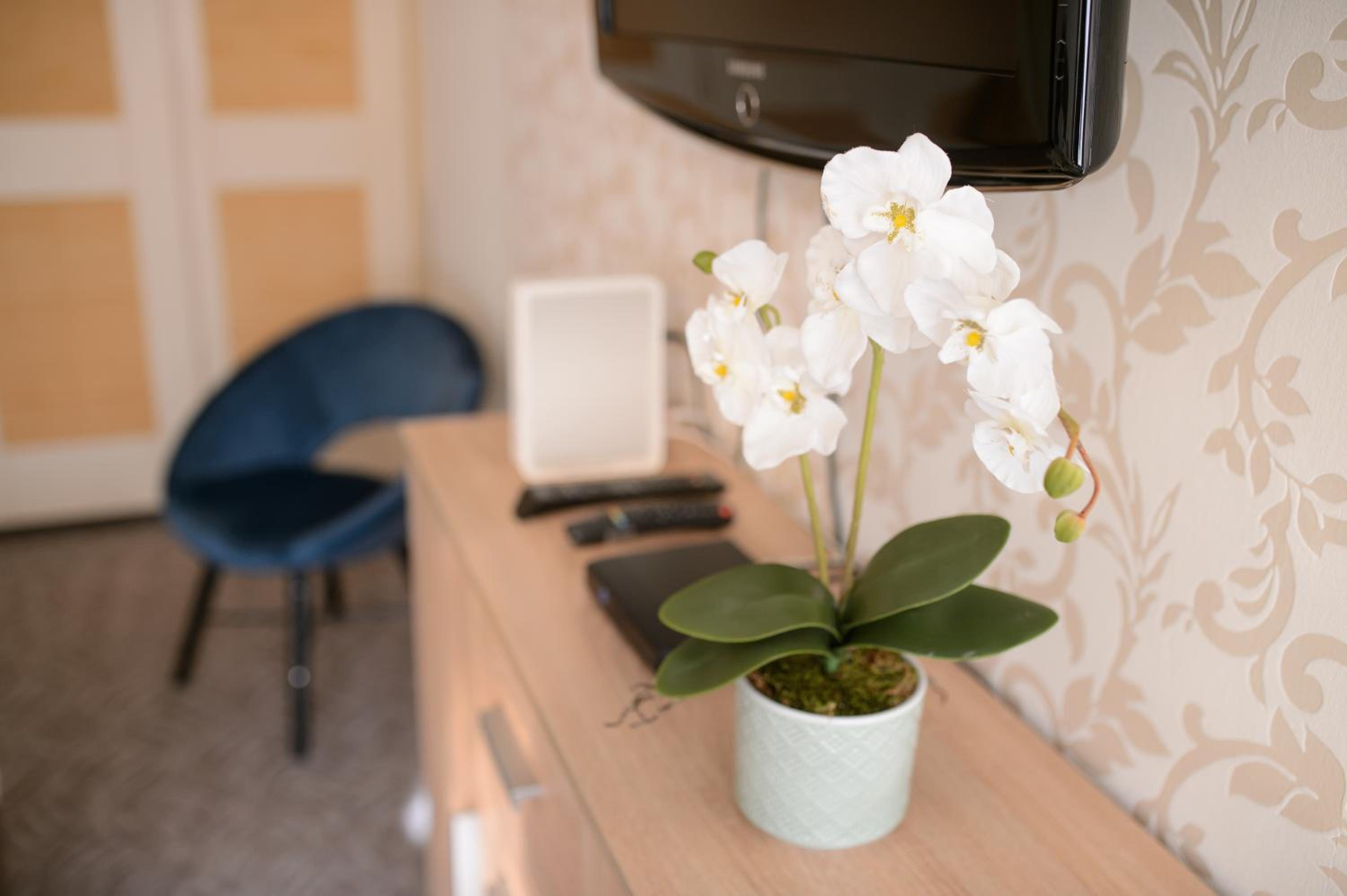 Lujzi apartman