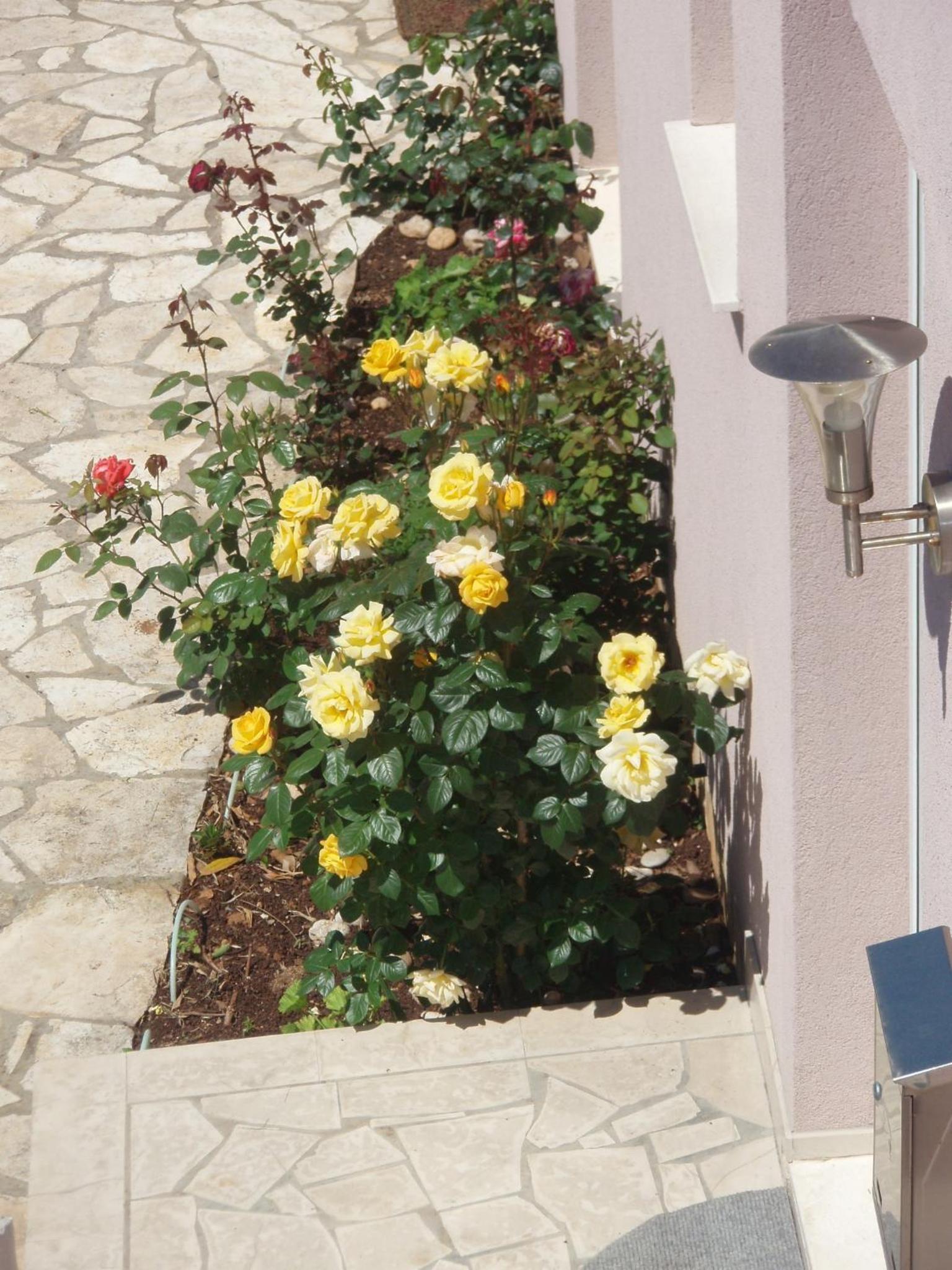 Photo 22