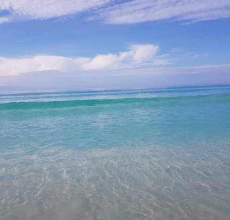 Paraíso de Praia Seca - Carnaval 2026