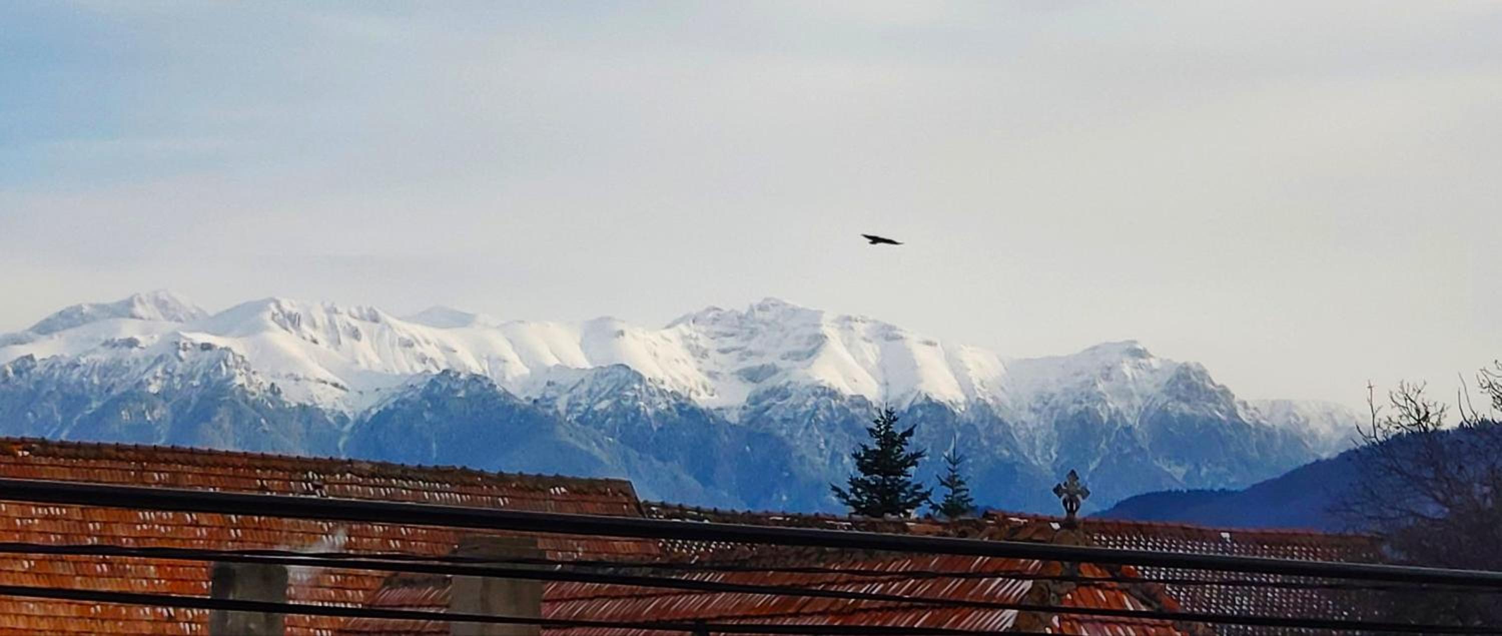 Casa Piatra Craiului view 2
