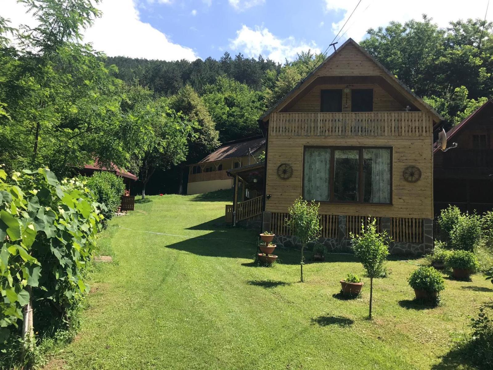 Casa de Vacanta Geoagiu de Sus view 3