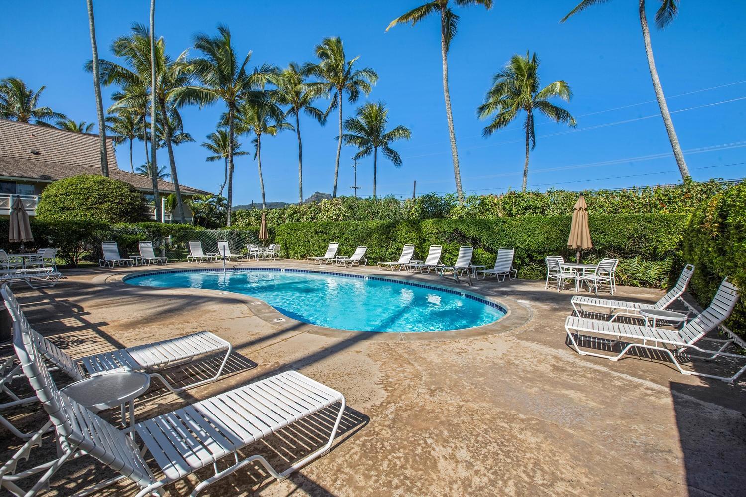 Beautifully Upgraded, Full Kitchen, Comfy King Bed, AC condo view 3