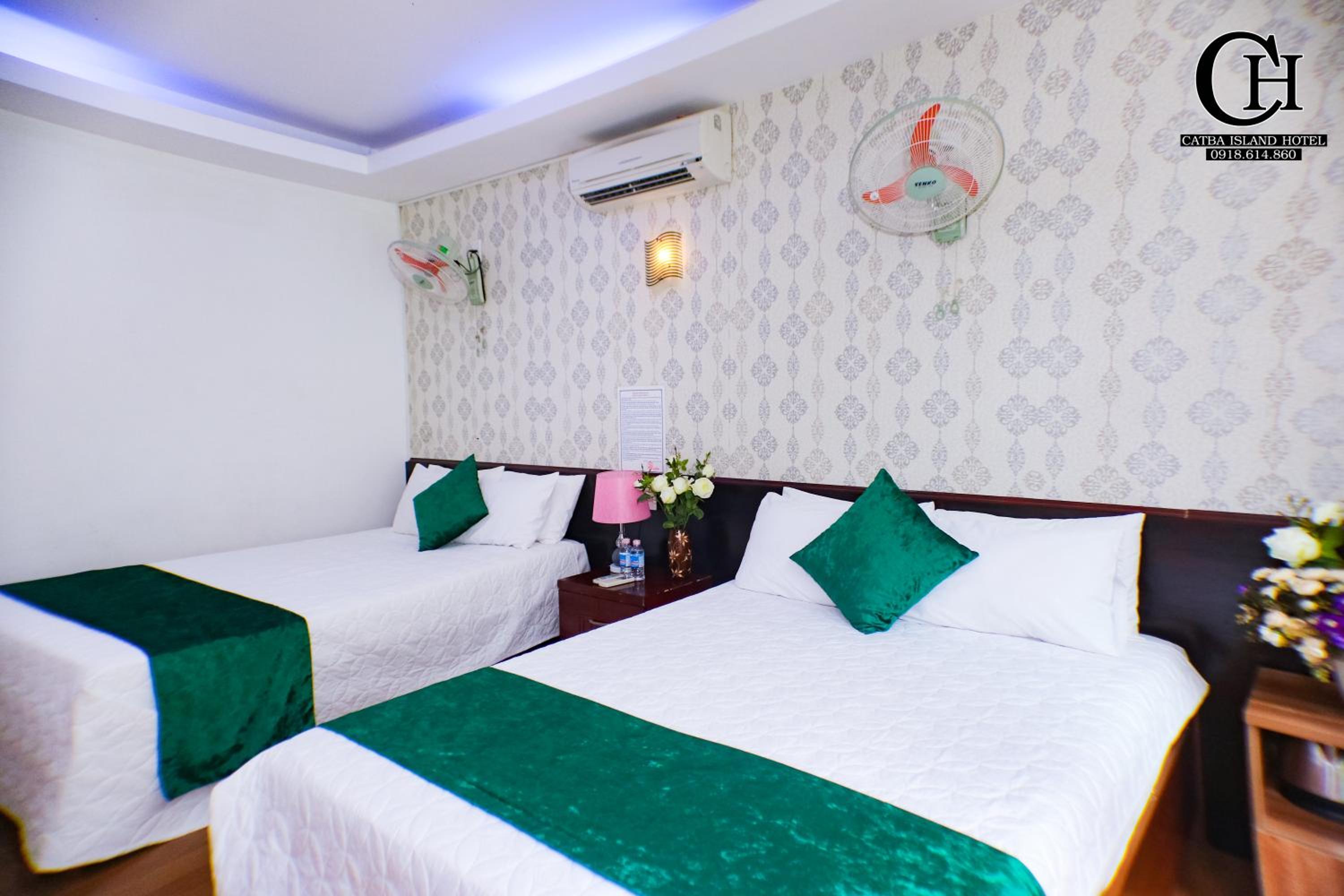 catba island hostel