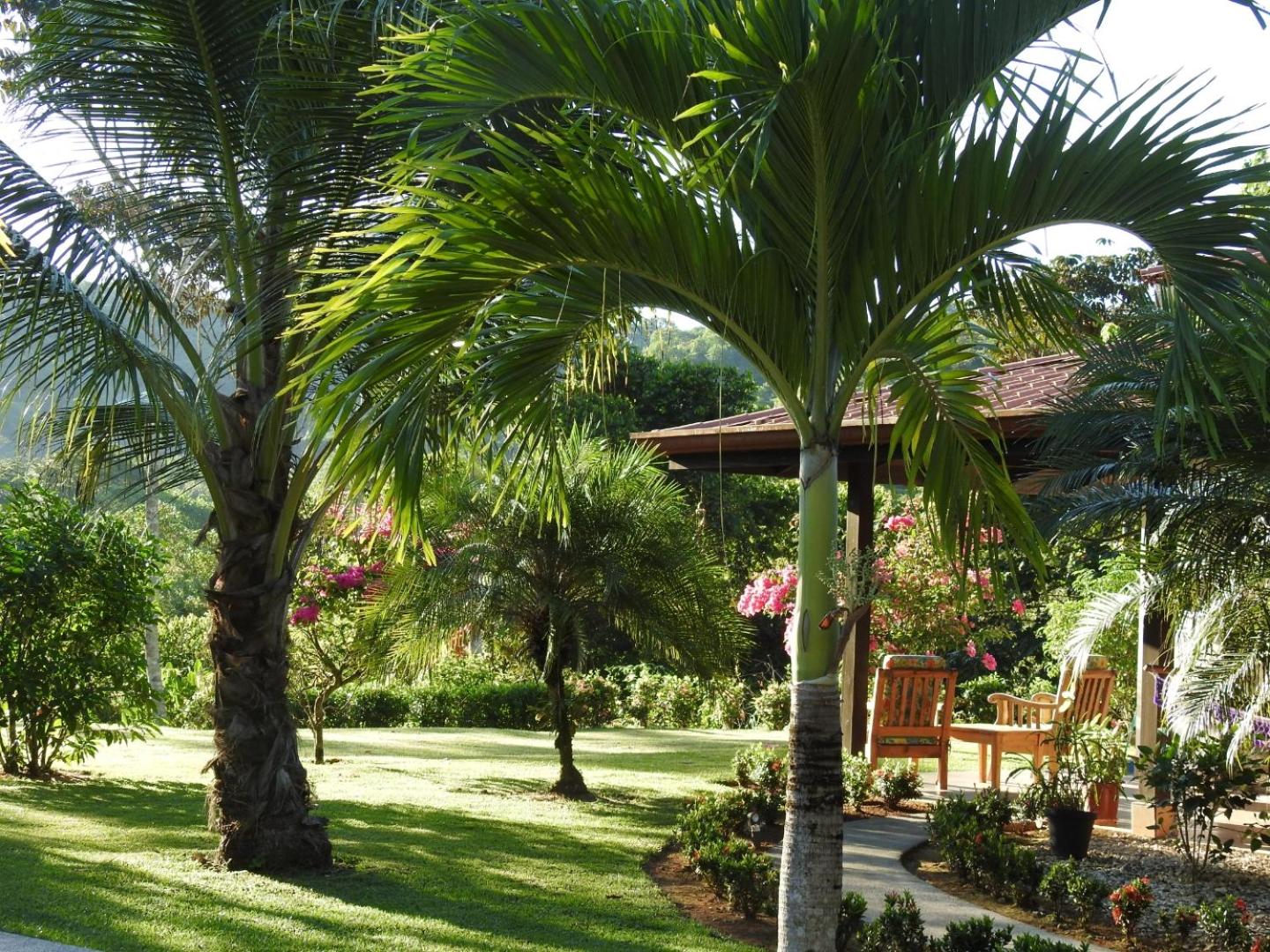 Casas Buenas Brisas